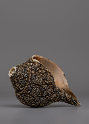Handcrafted Traditional Tibetan Conch Shell | Sacred Buddhist Sankha
