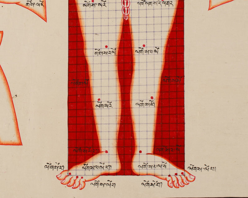 Human Anatomy Thangka | Posterior View of Healing Points