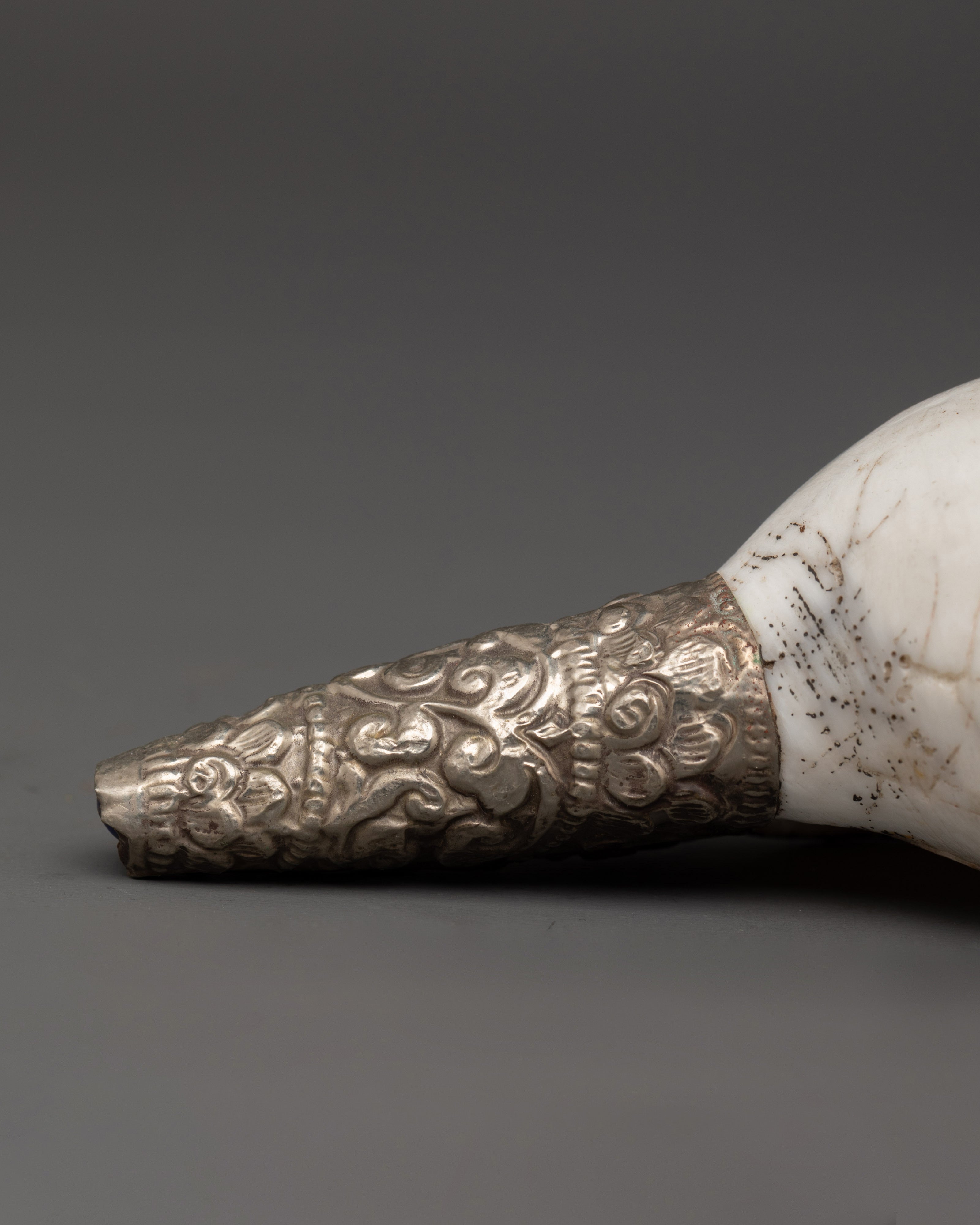 Tibetan Ritual Conch Shell | Handcrafted Buddhist Ritual Sacred Instrument