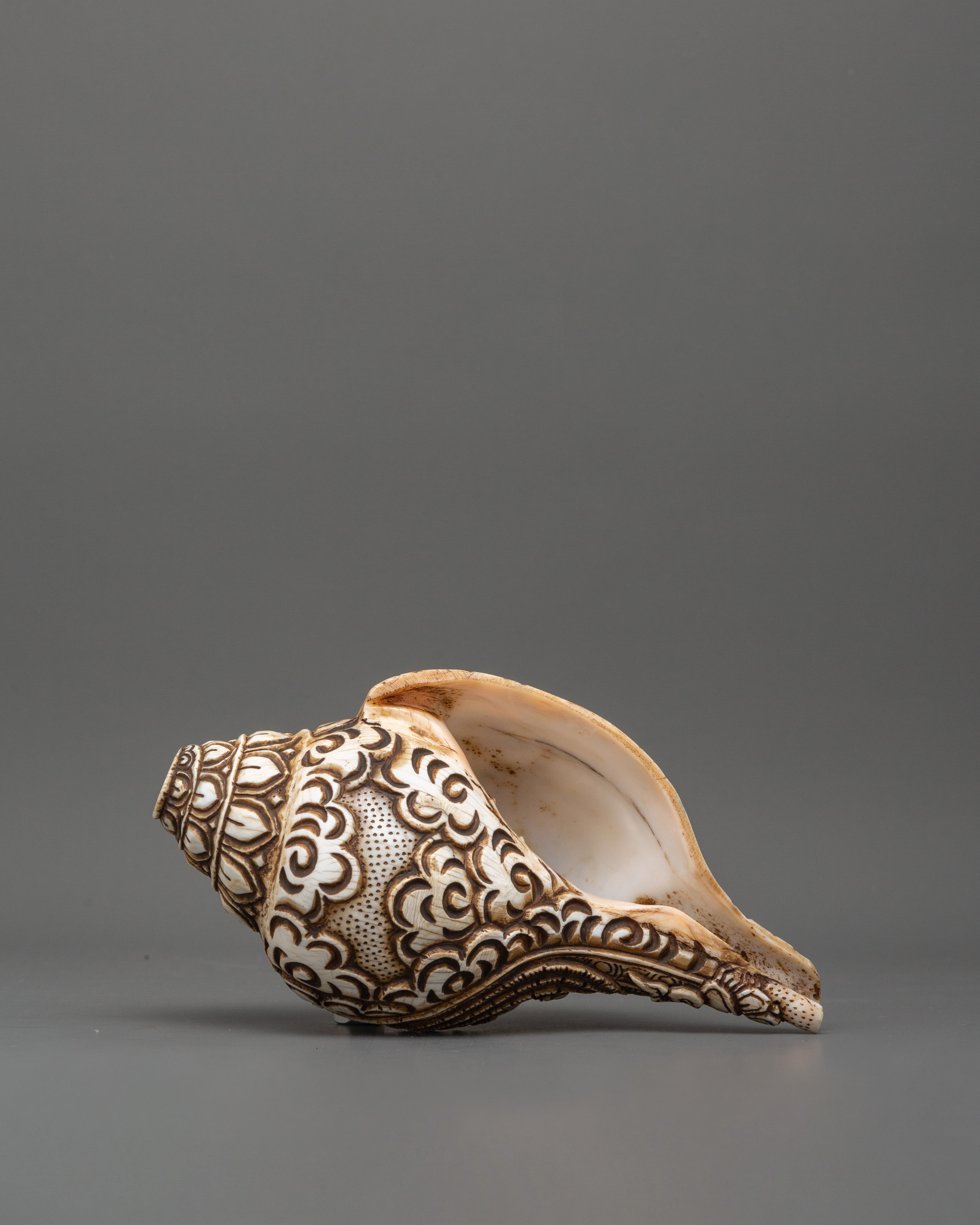 1000 Armed Chenrezig Carved Conch | Tibetan Spiritual Healing and Meditation Tool