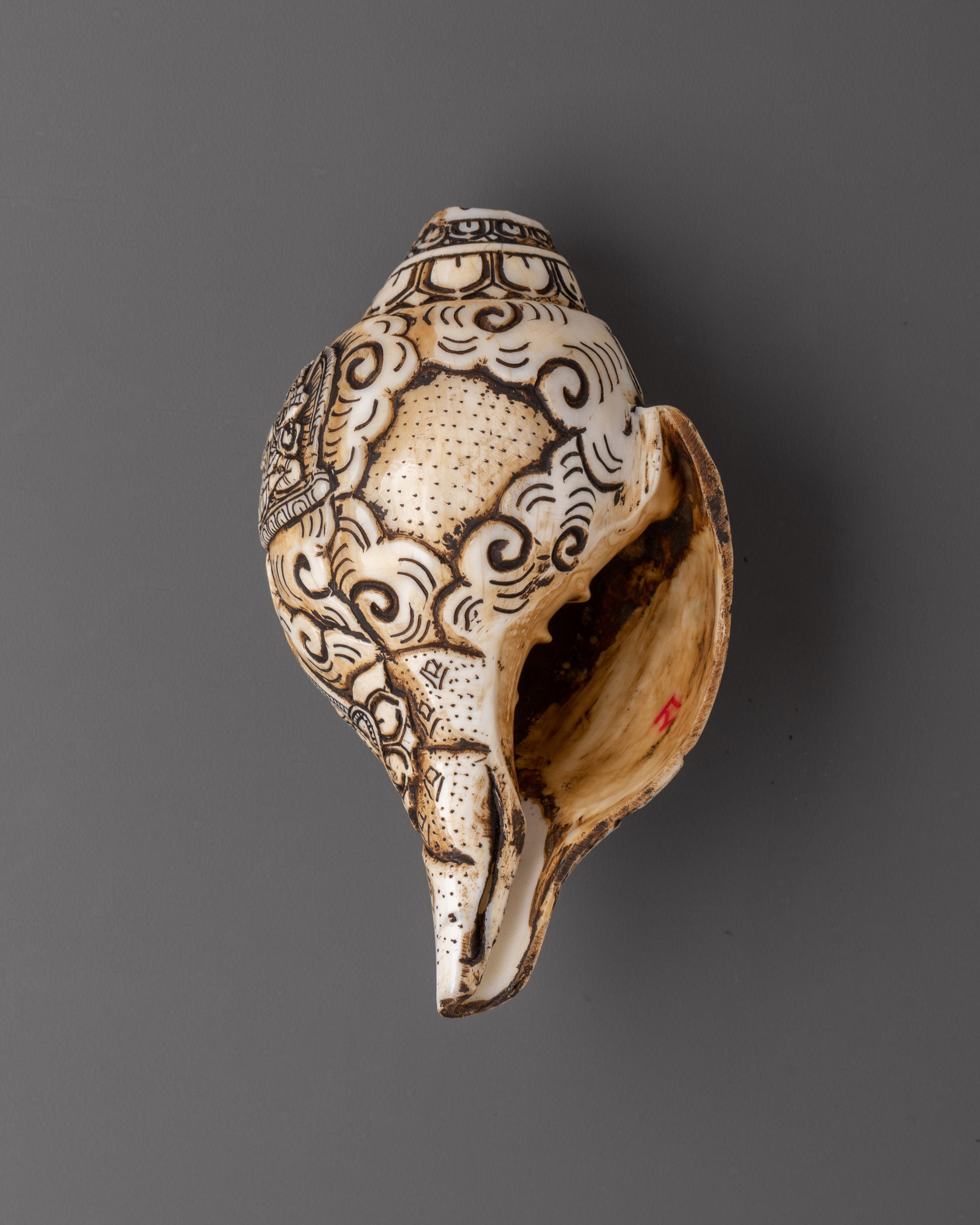 Conch with Guru Rinpoche Carving | Sacred Tibetan Ritual Sound Tool