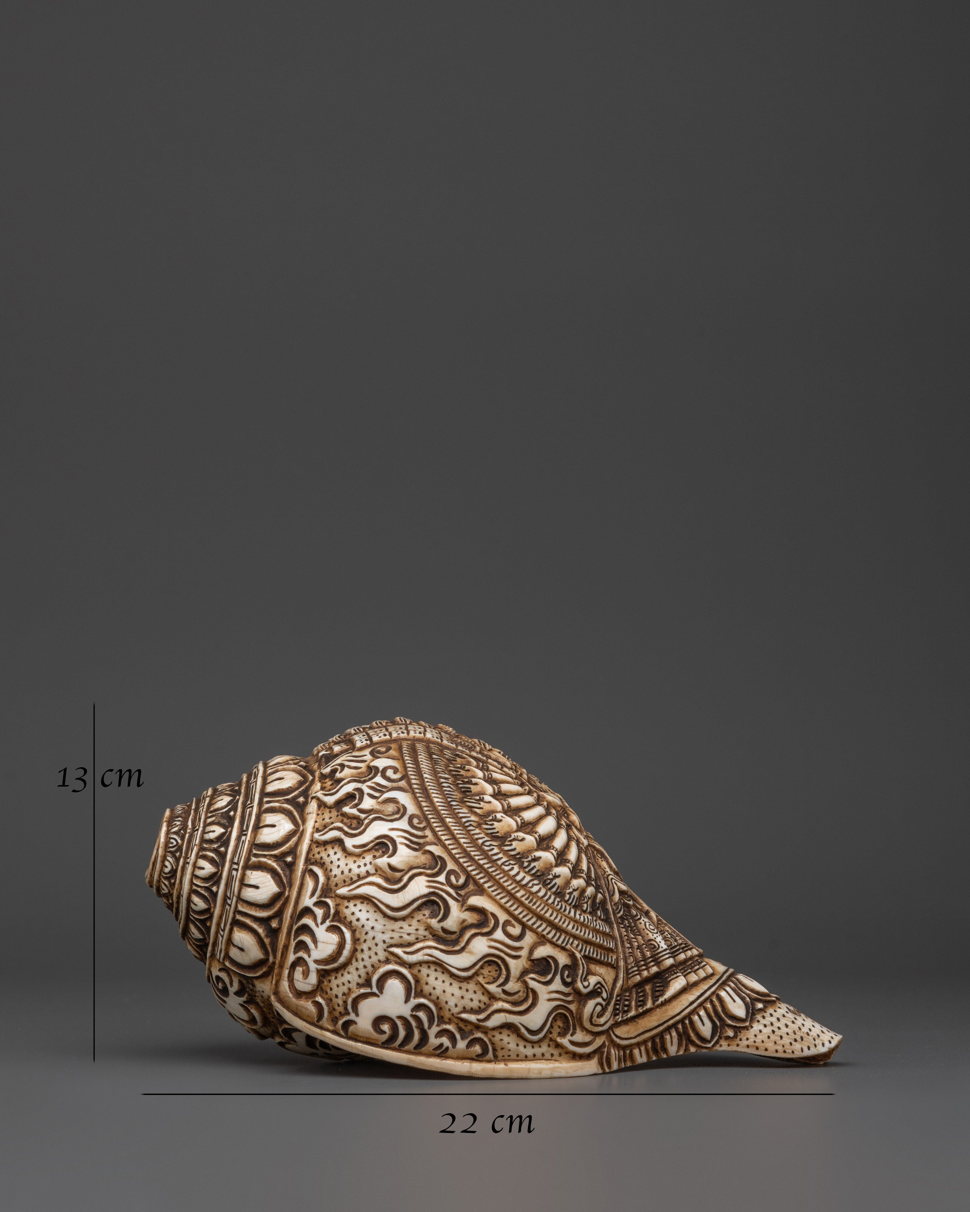 Conch for meditation | Meditation and Spiritual Practices
