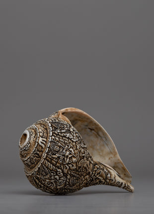 Intricately Carved Tibetan Conch Shell | Sacred Buddhist Sankha