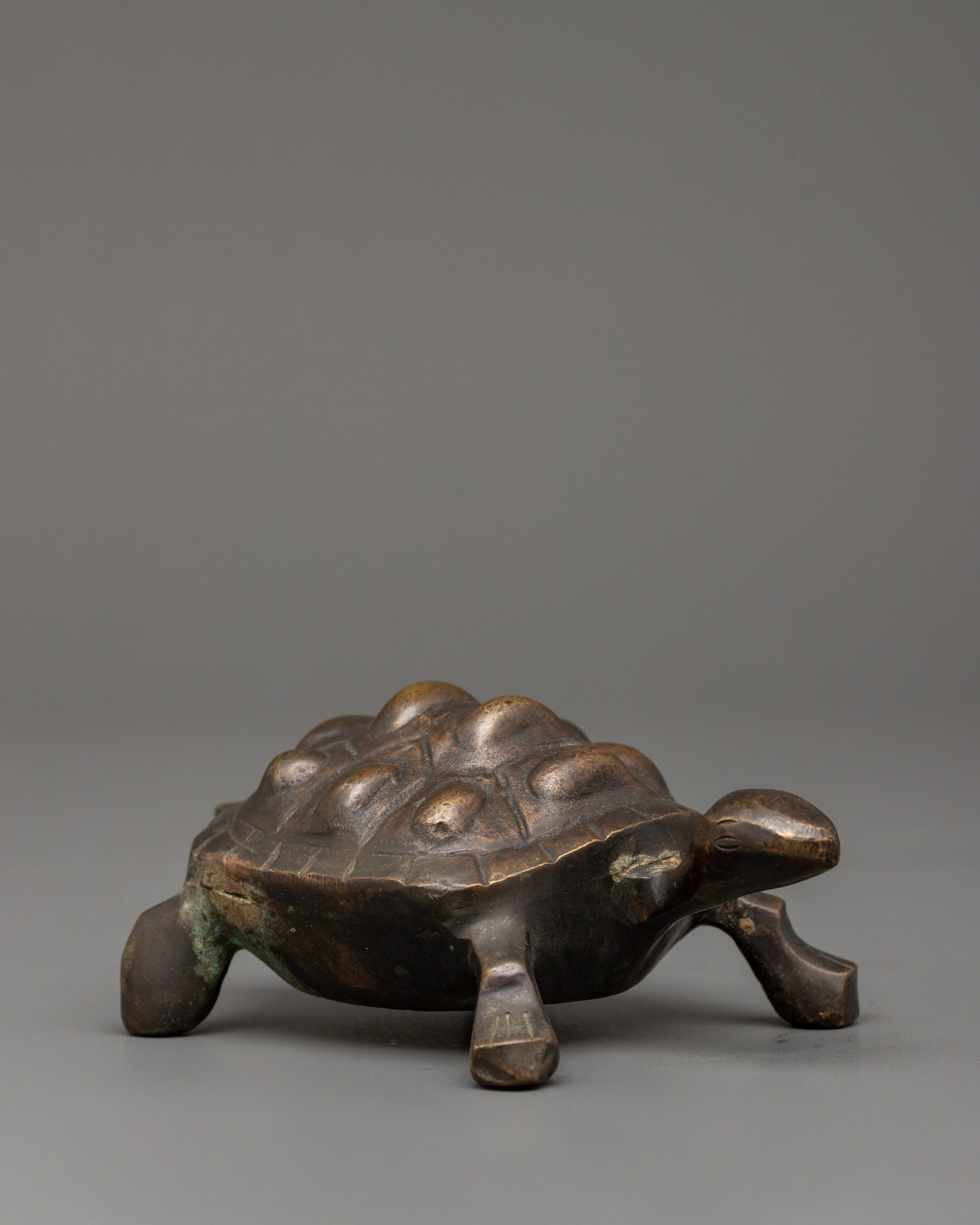 Brass Tortoise Statue with Antique Finish | Feng Shui Lucky Tortoise for Home Decor