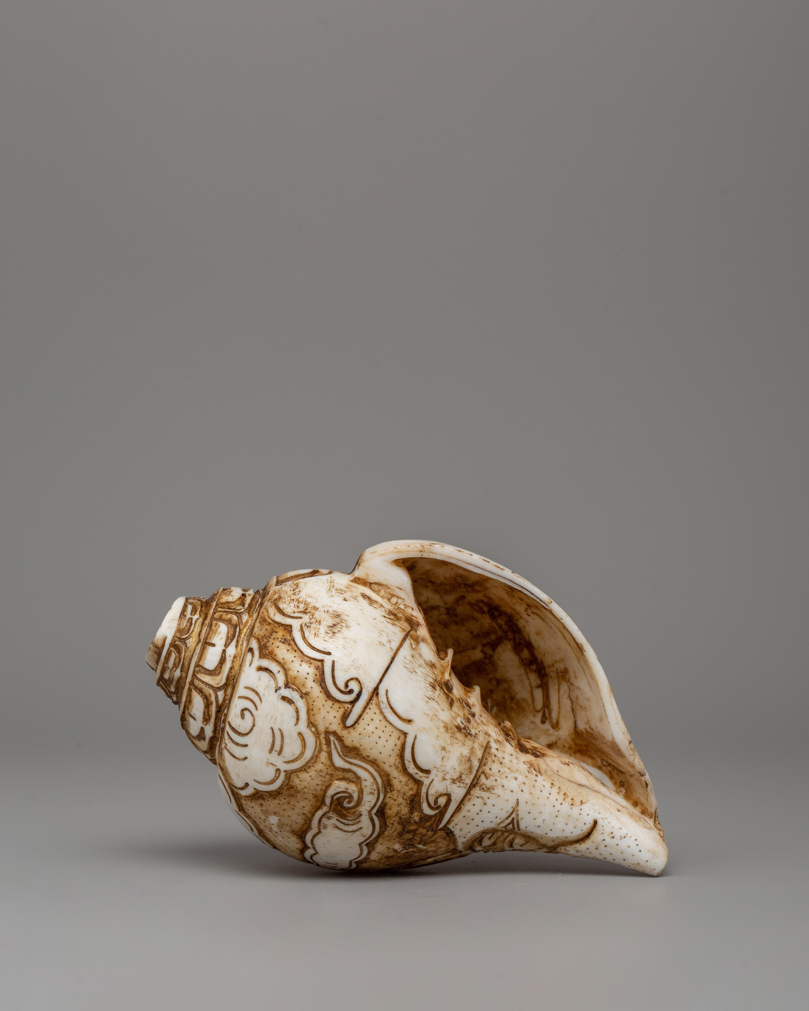 Conch Shell Shankha for Shrine | A Divine Ritual Artifact