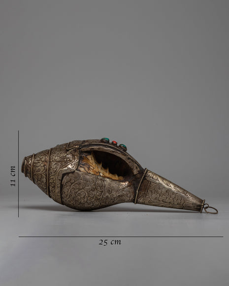 Buddhist Ritual Conch Shell | Harmonizing Spiritual Practice with Sacred Sound