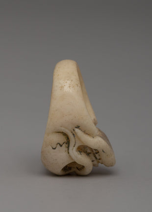 Traditional Tibetan Handcrafted Skull Buffalo Bone Ring | Artisan Symbolic Band