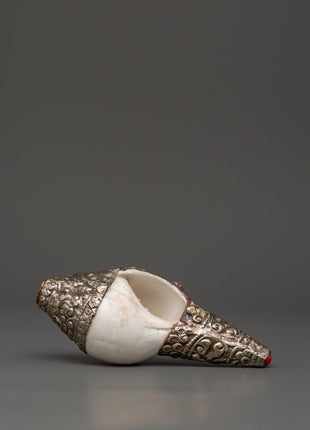 Conch Shell Spiritual Decor | Symbol of Sound and Spirituality