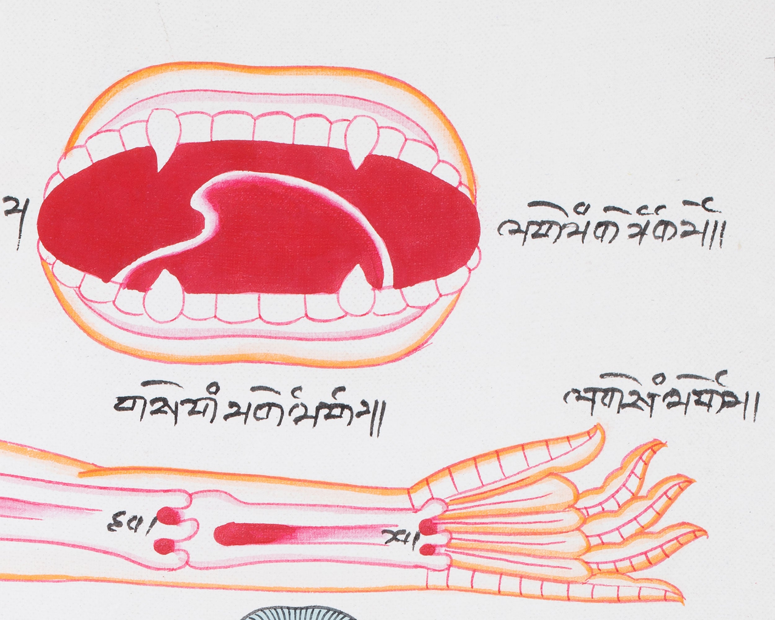 Human Anatomy Thangka | Posterior View of Healing Points