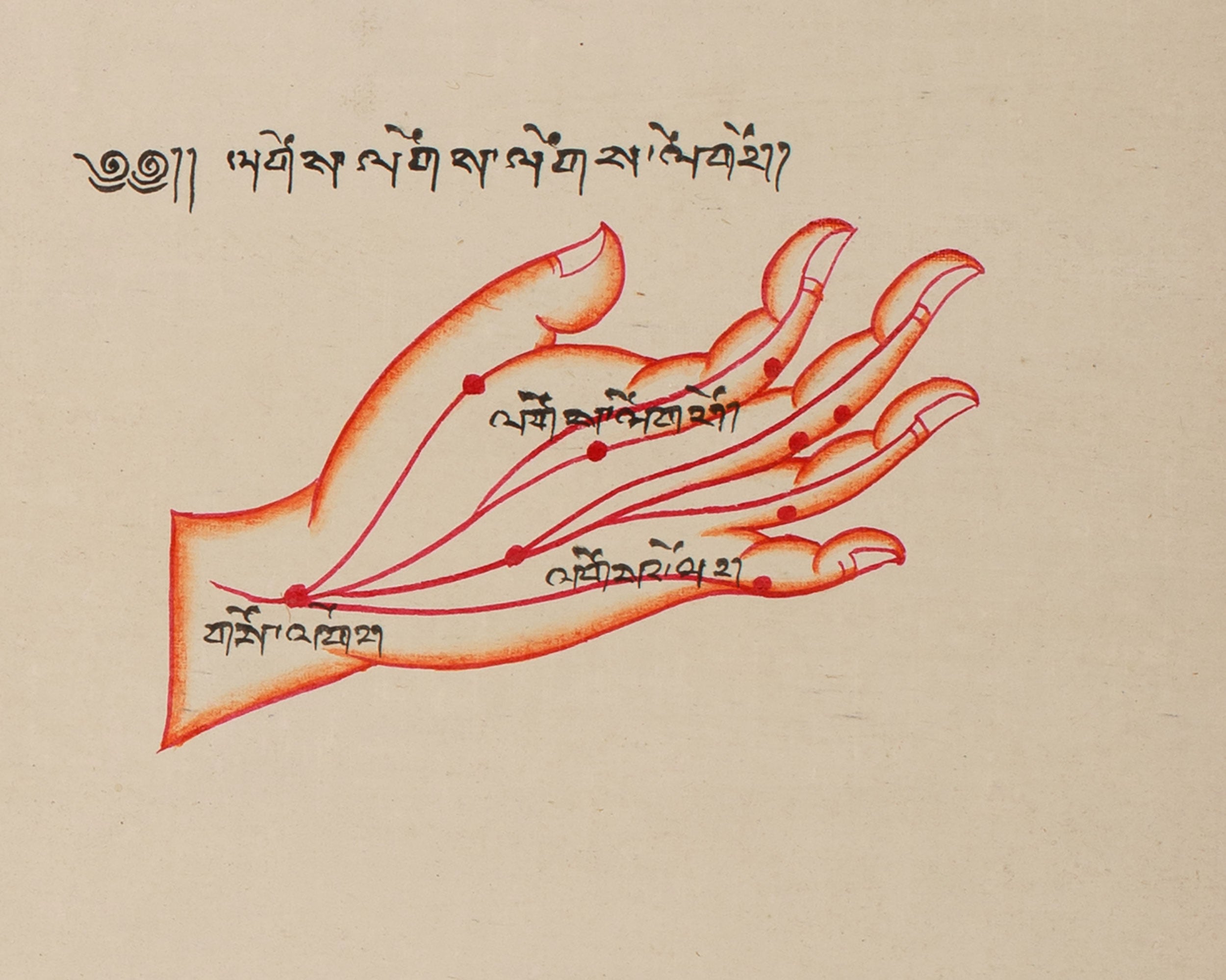Human Anatomy Thangka | Posterior View of Healing Points