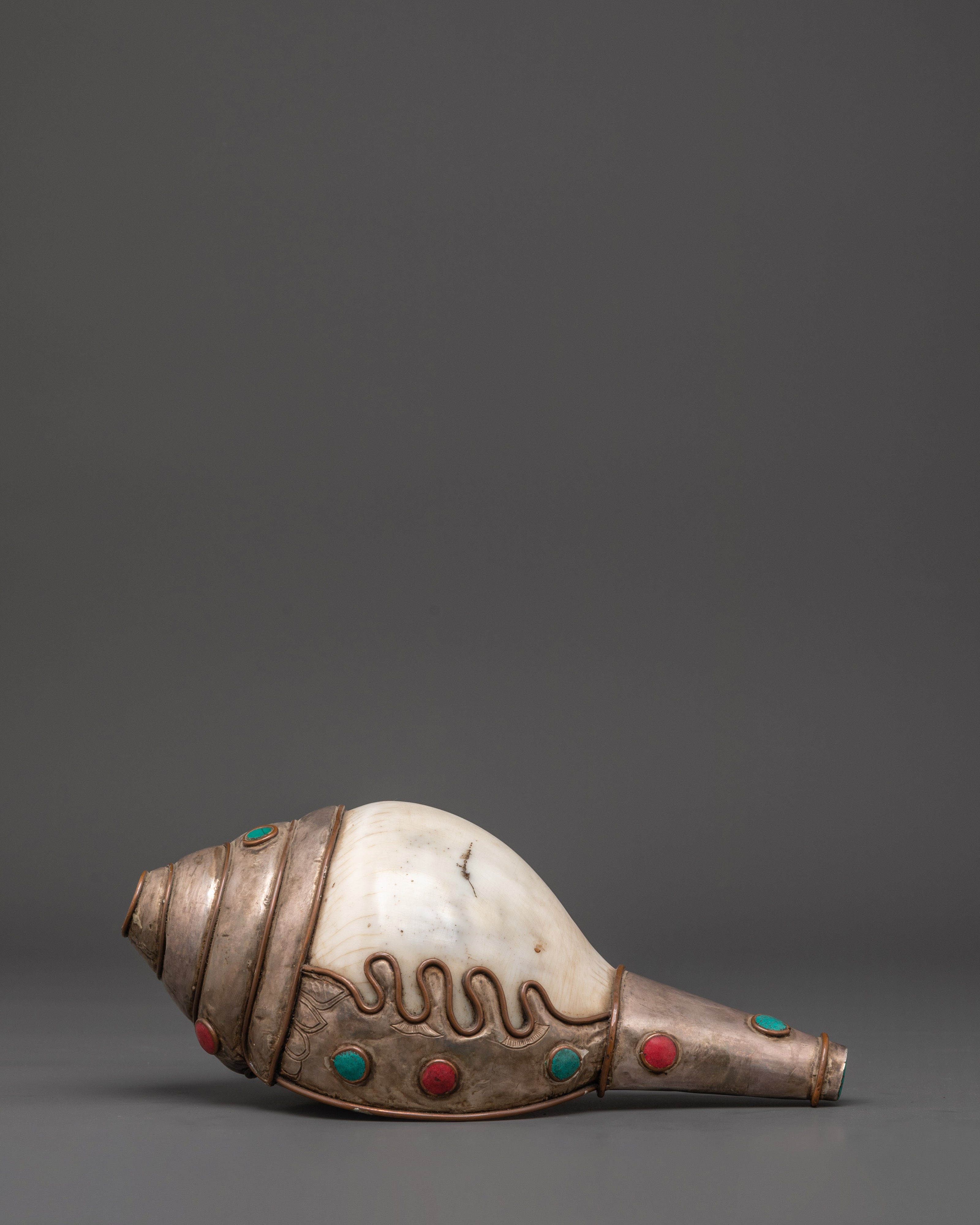 Conch Spiritual Tool | Sacred Buddhist Conch Shell
