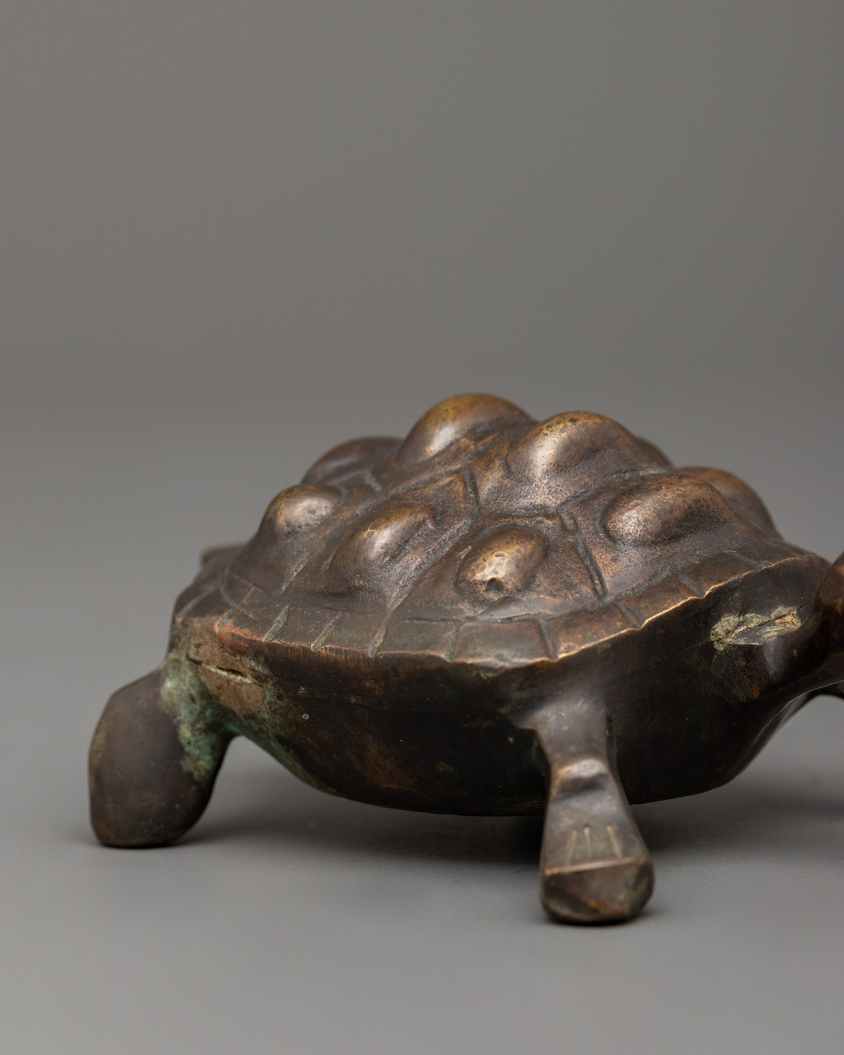 Brass Tortoise Statue with Antique Finish | Feng Shui Lucky Tortoise for Home Decor