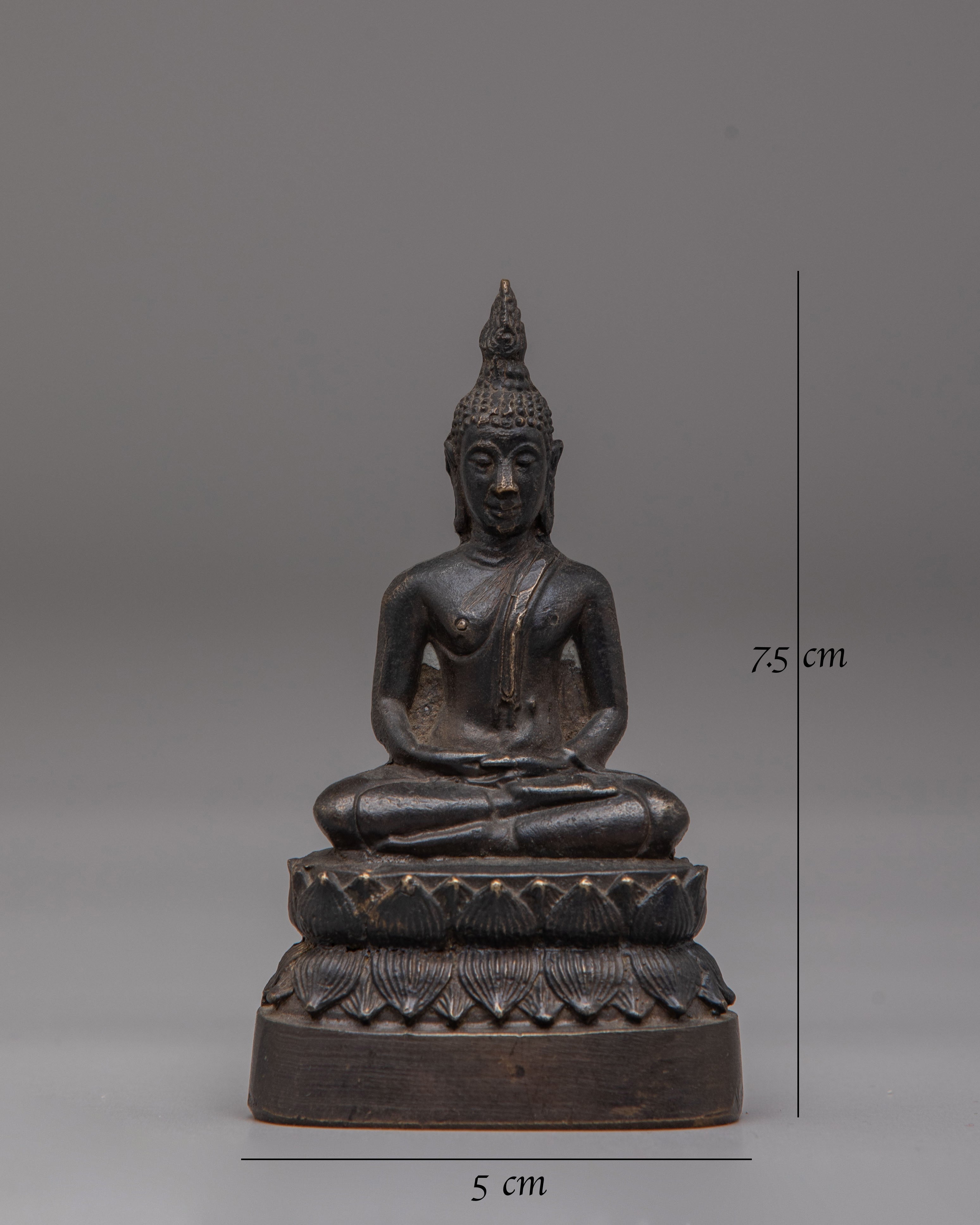 Tibetan Sacred Amitabha Buddha Statue | Meditation Altar