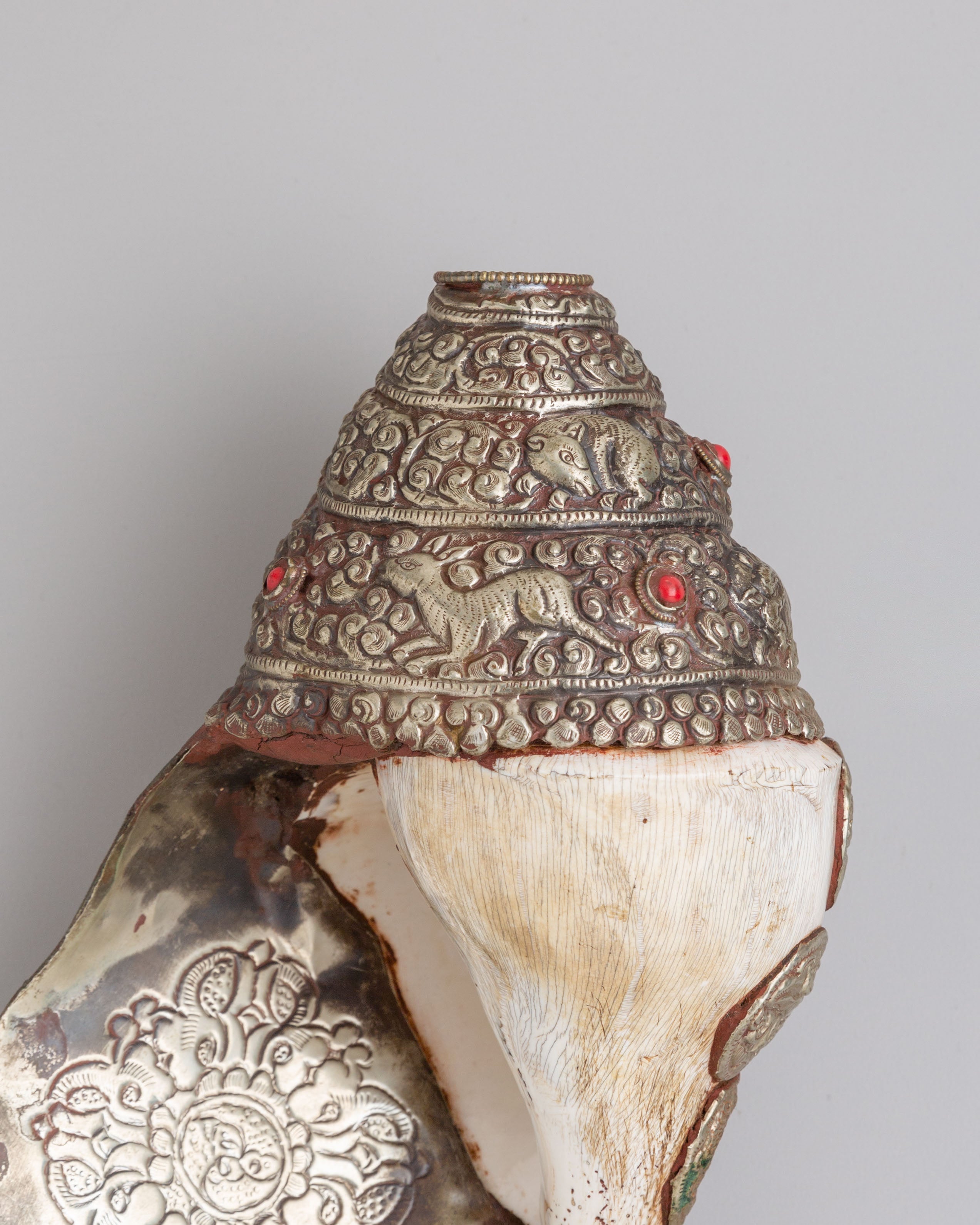Himalayan Conch Shell | Buddhist Altar Decor