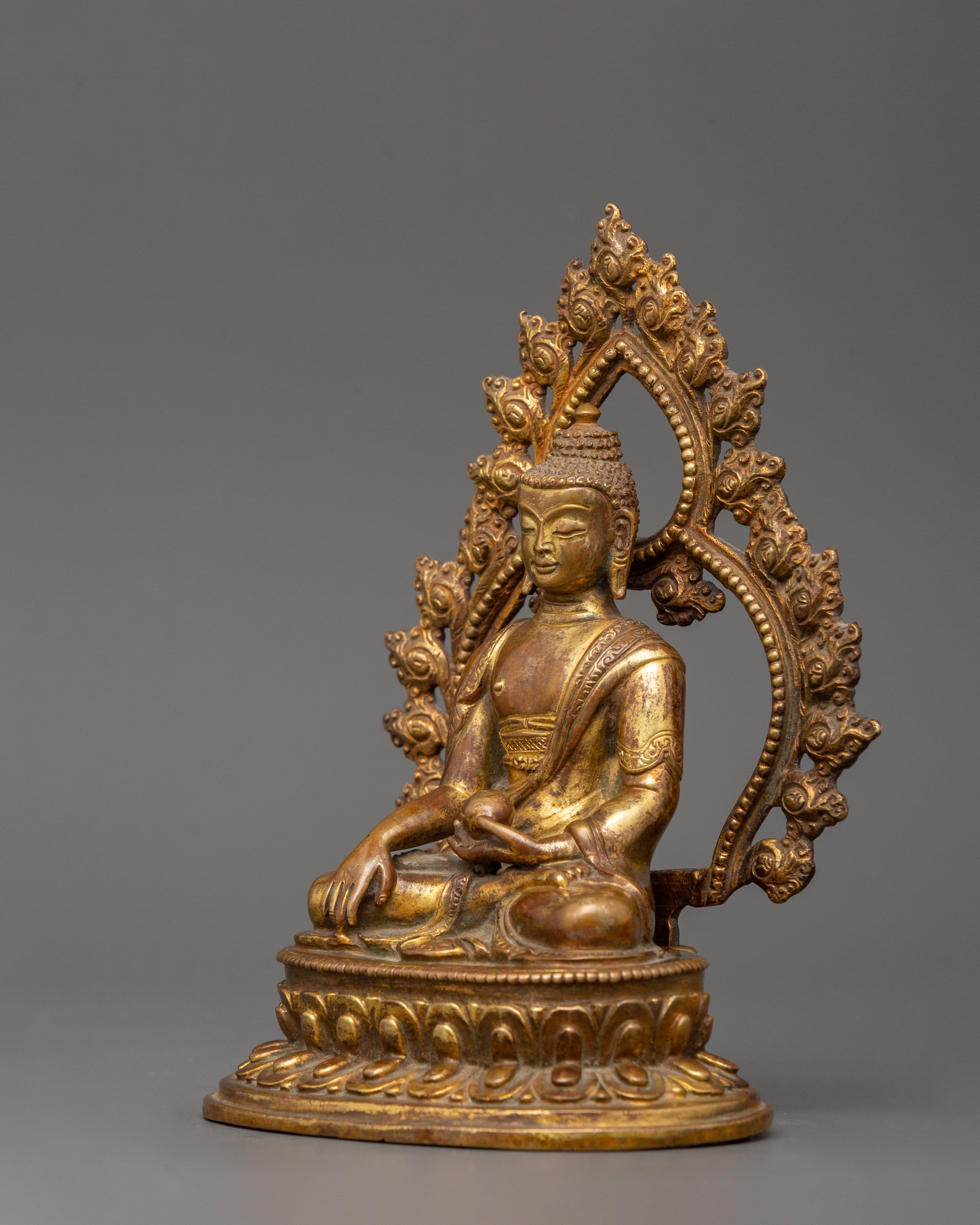 Shakyamuni Buddha with Halo | Meditation Buddha