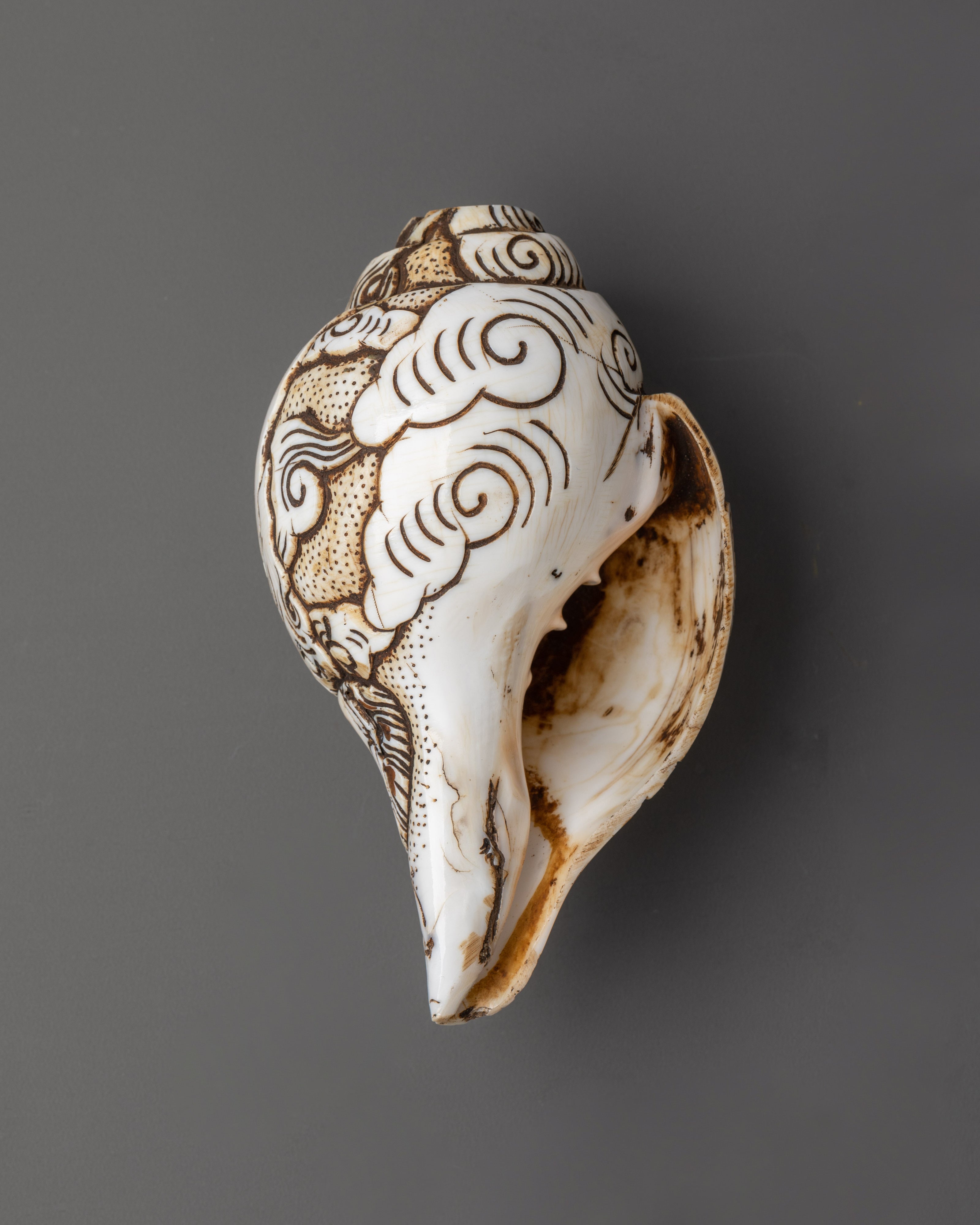 Handcrafted Ganesh Conch Shell | Sacred Shankha with Carved Ganesha Design