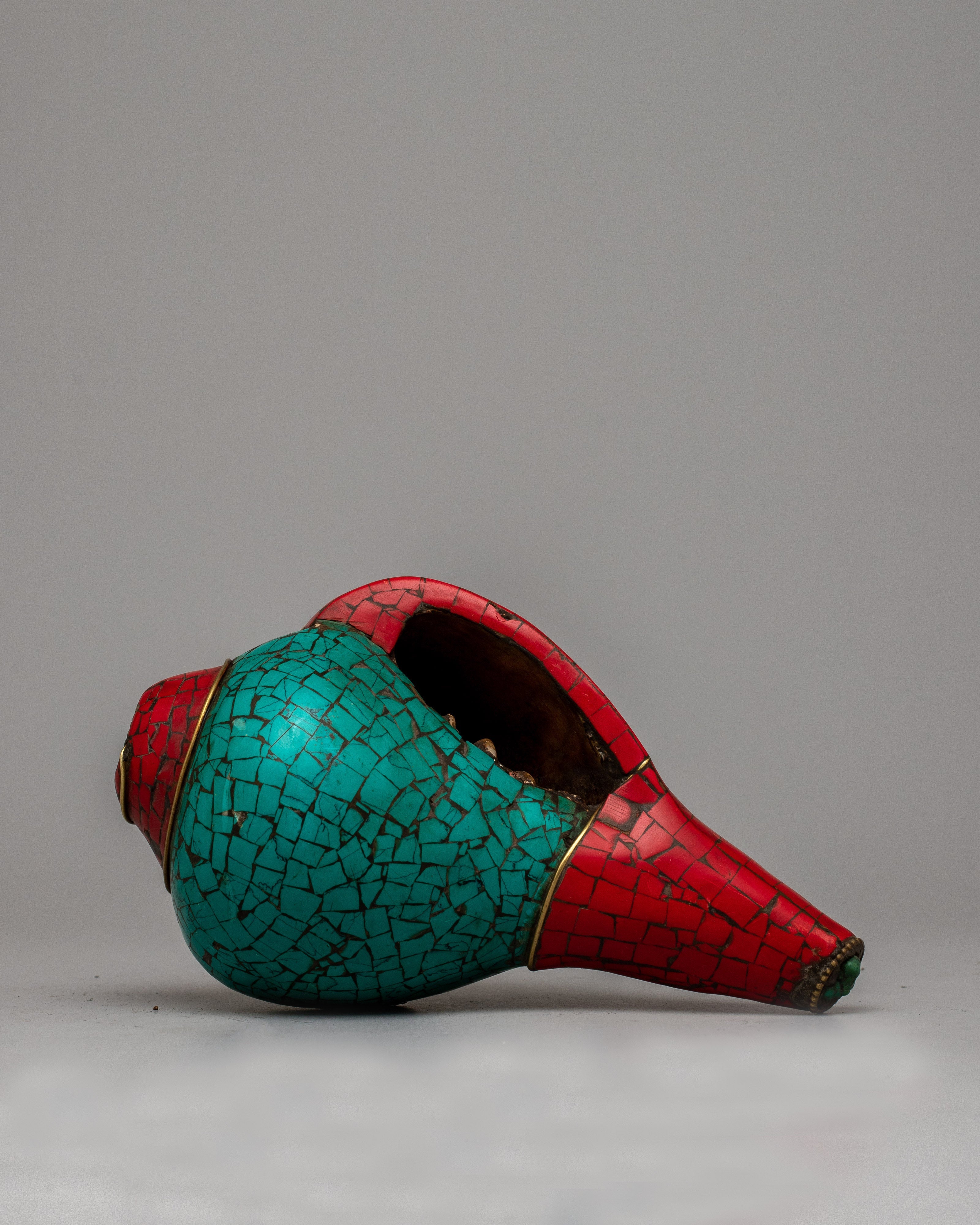 Shankha Shell | Natural Beauty for Your Home Decor