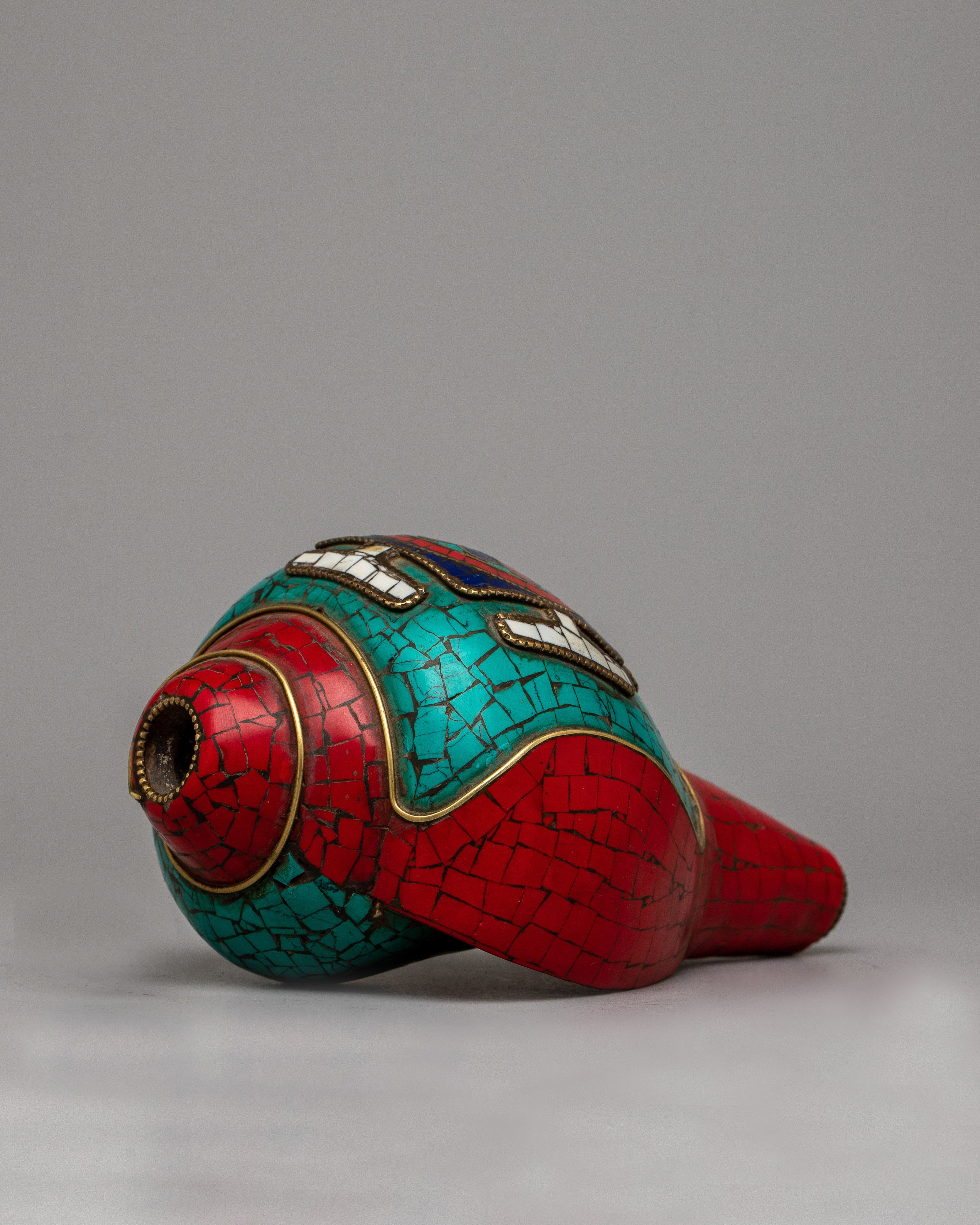 Shankha Shell | Natural Beauty for Your Home Decor