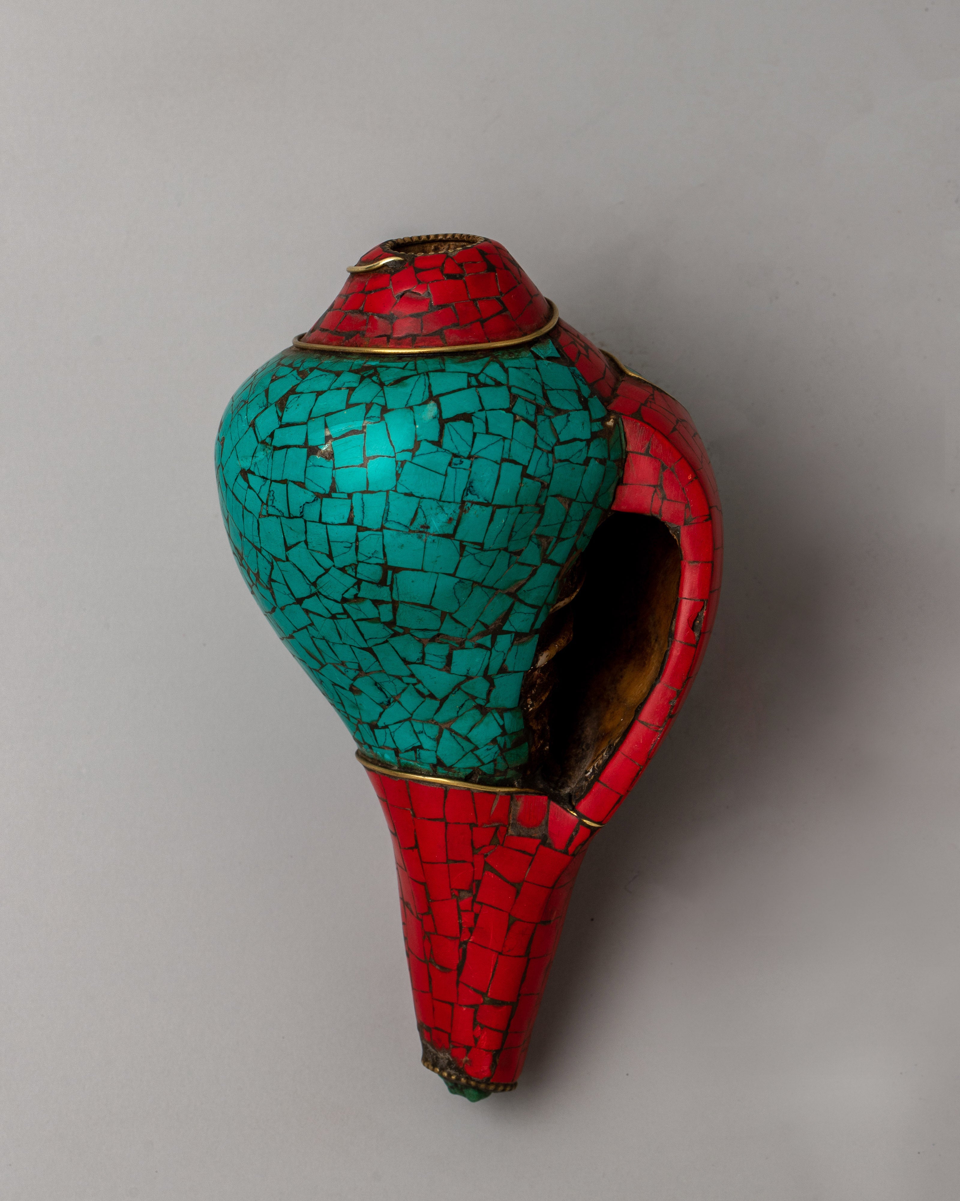 Shankha Shell | Natural Beauty for Your Home Decor