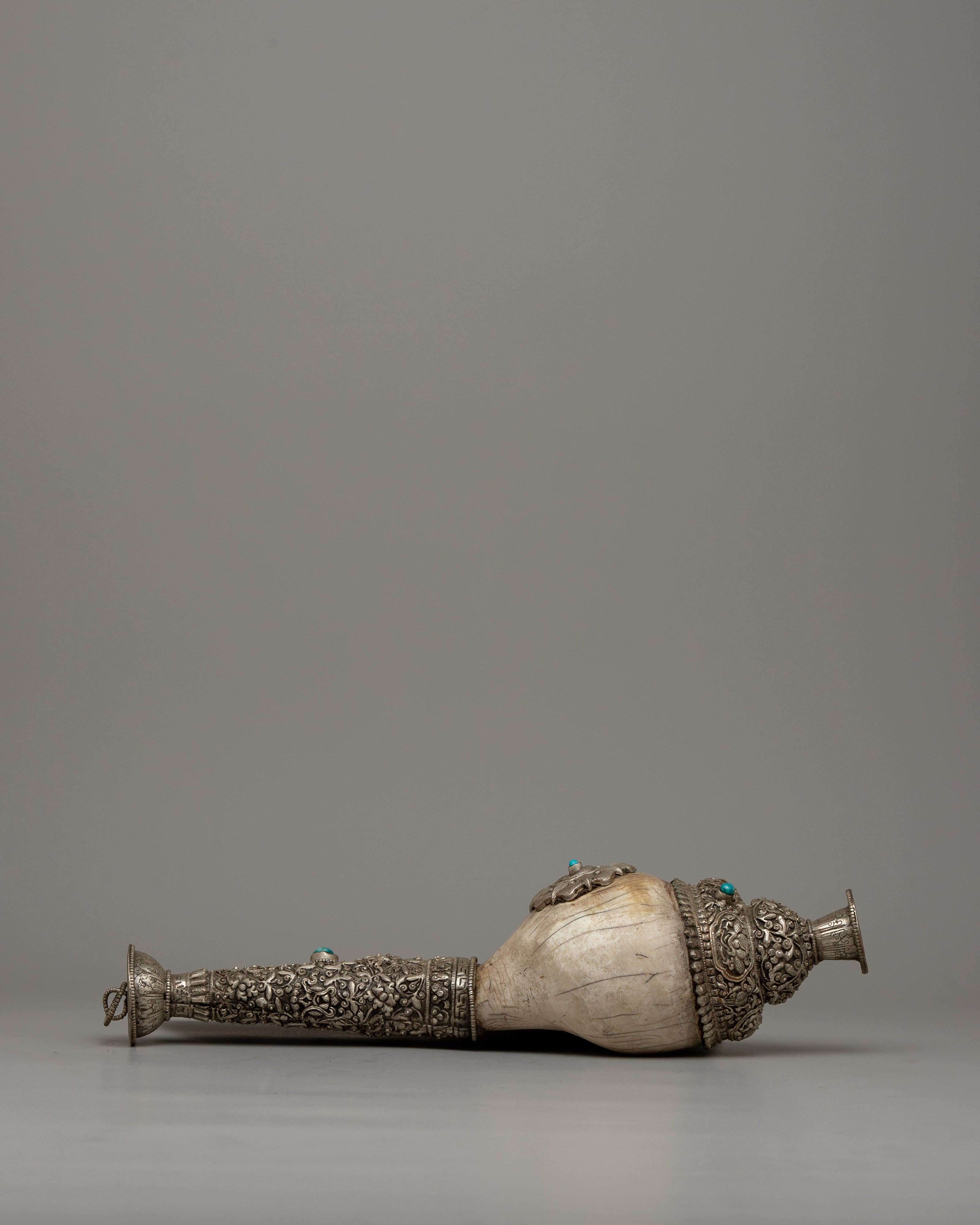 Carved Conch Shell | A Symbol of Natural Beauty and Artistic Craftsmanship