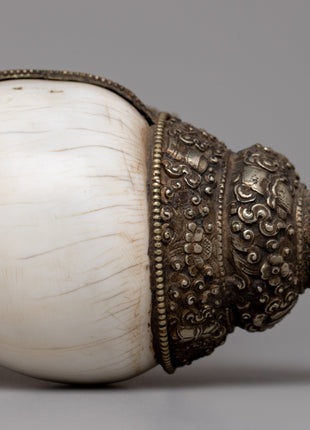 Conch Shell Trumpet | Sacred Sound in Spiritual Practices