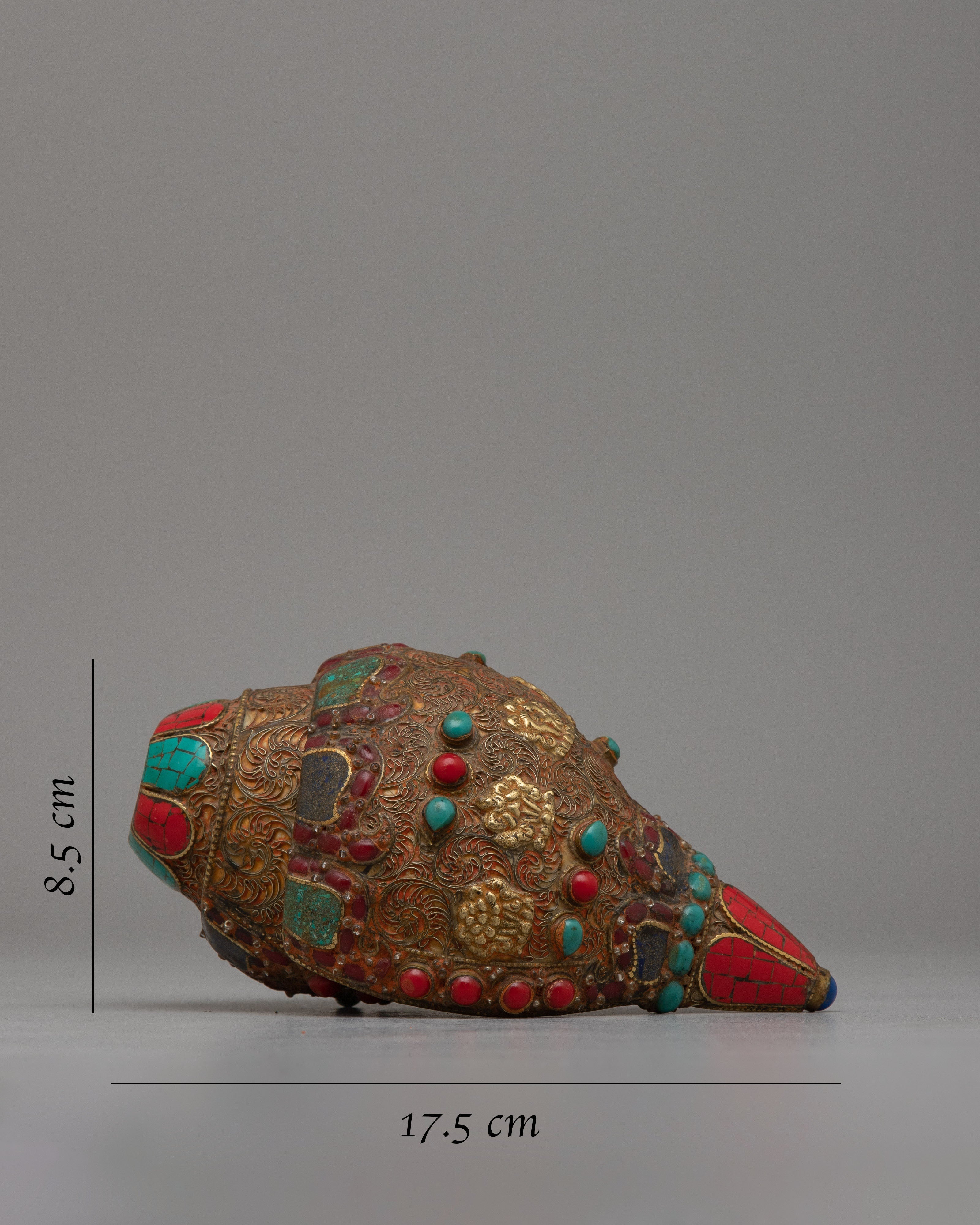 Tibetan Shankh Shell | Sacred Symbol of Spiritual Purity and Divine Connection