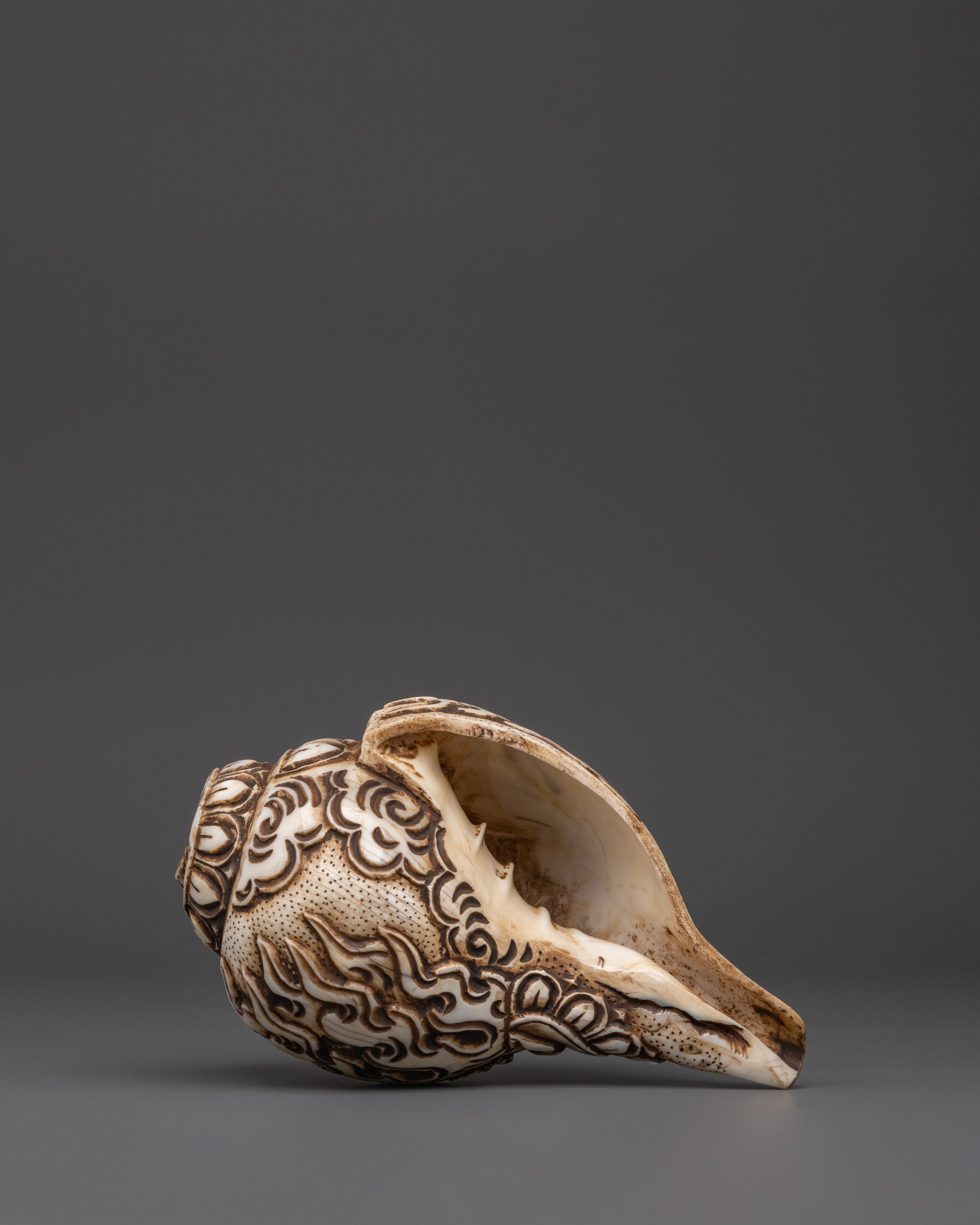 Healing Conch |  Meditation & Home Decoration