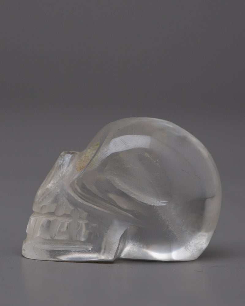 The Crystal Skull | Unveiling Secrets of the Past and Visions of the Future