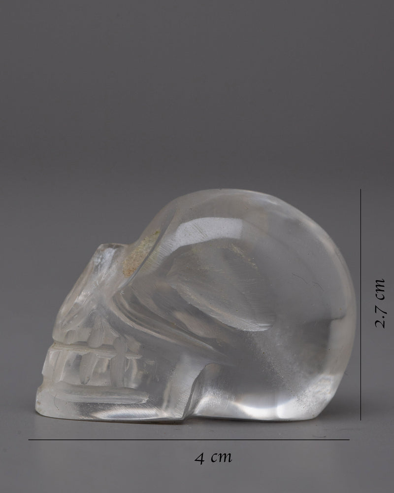 The Crystal Skull | Unveiling Secrets of the Past and Visions of the Future