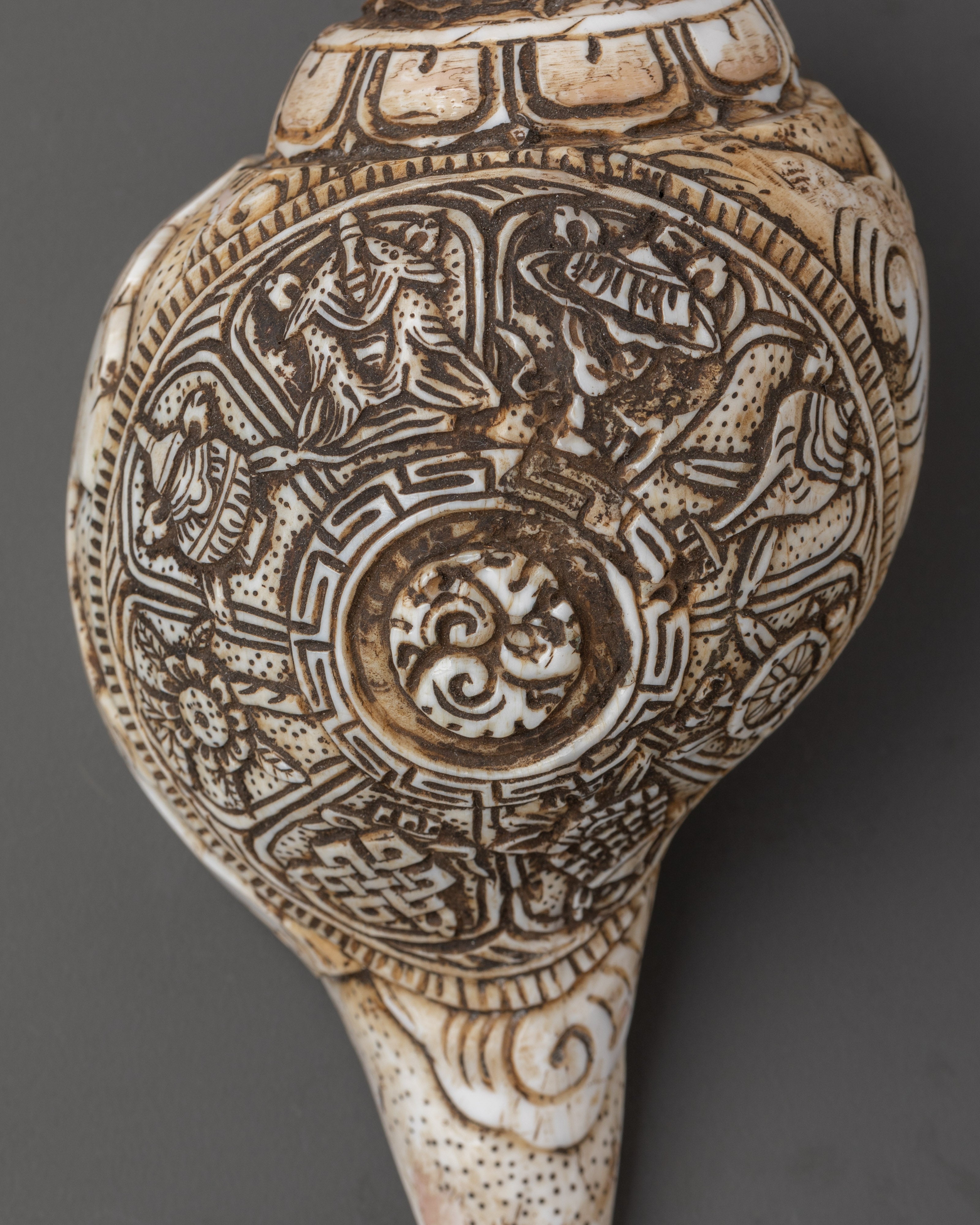 Himalayan Ritual Conch | Hand-Carved Buddhist Shankha with Auspicious Symbols
