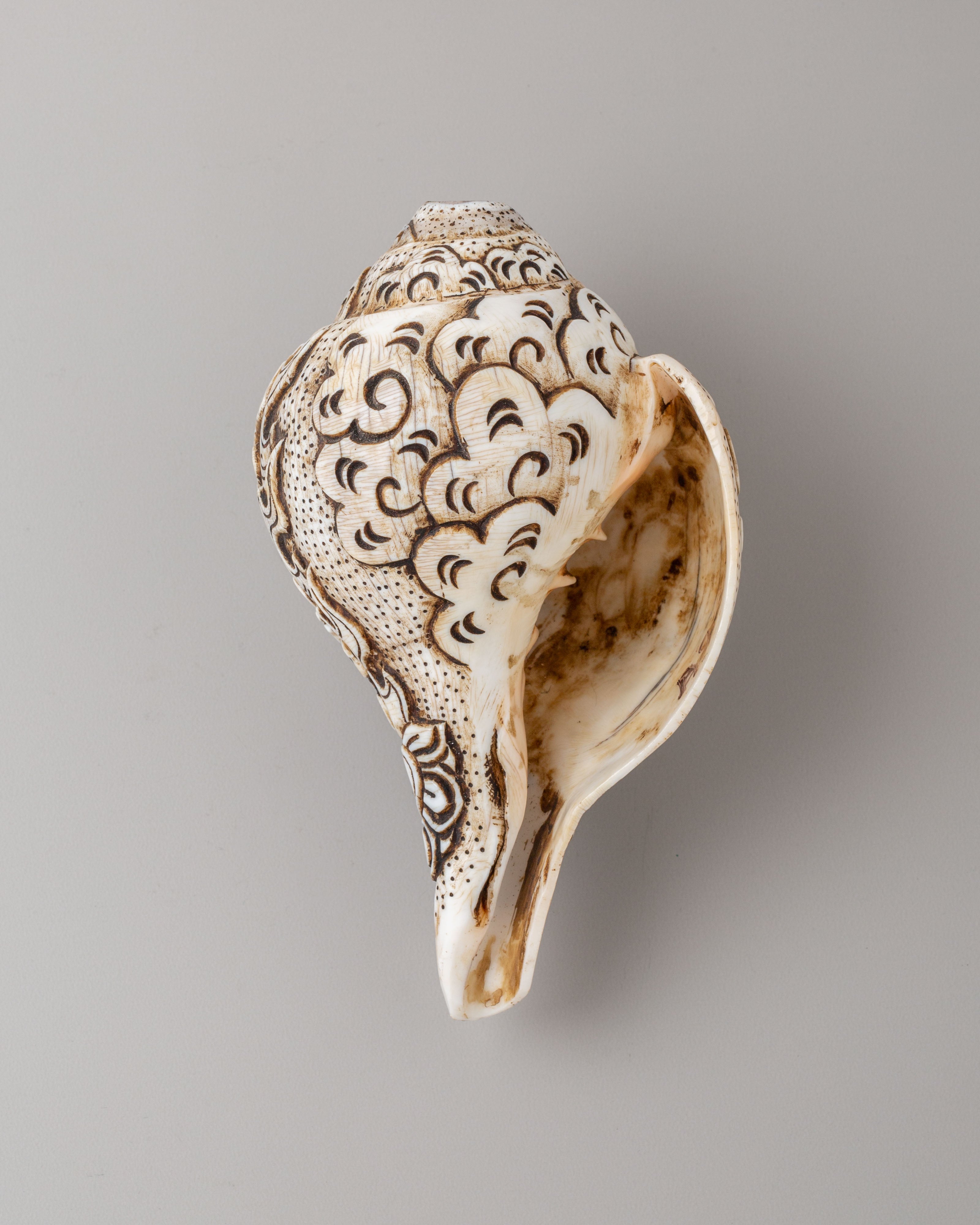 Mahakala Ritual Conch | Sacred Buddhist Ritual Shell
