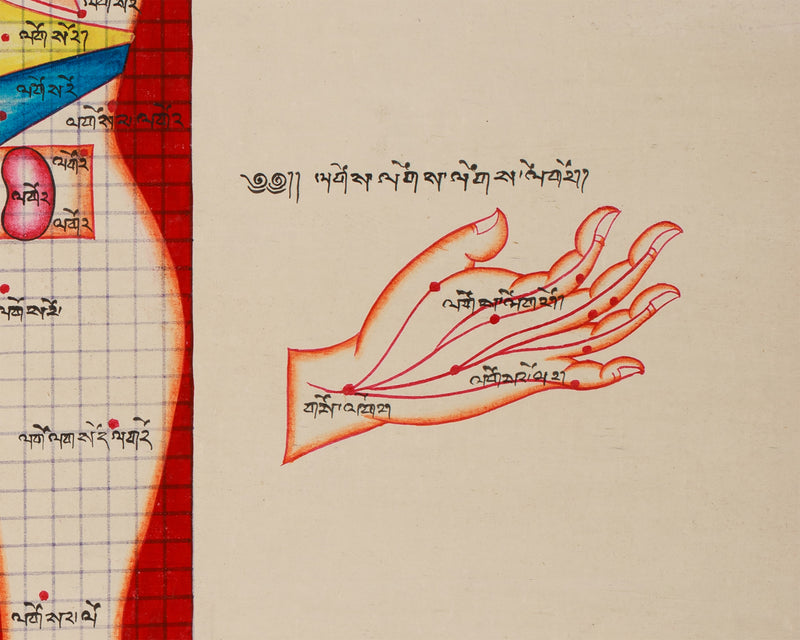 Human Anatomy Thangka | Posterior View of Healing Points