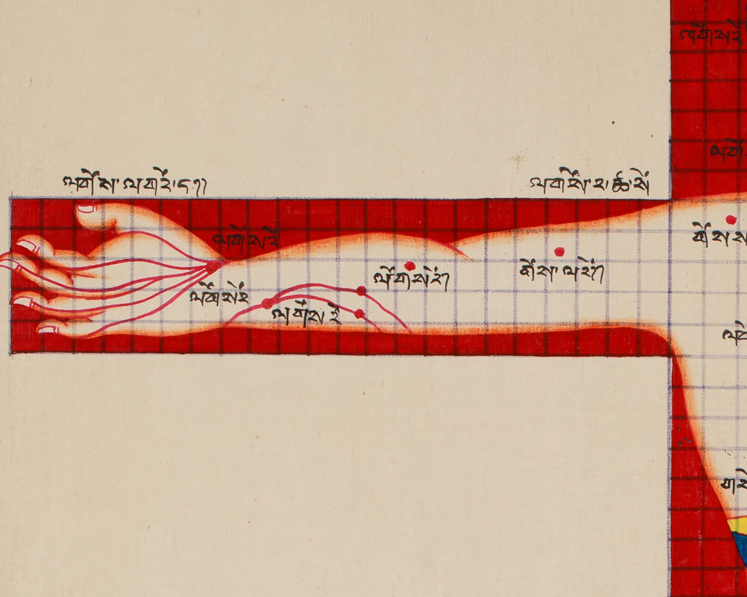 Human Anatomy Thangka | Posterior View of Healing Points