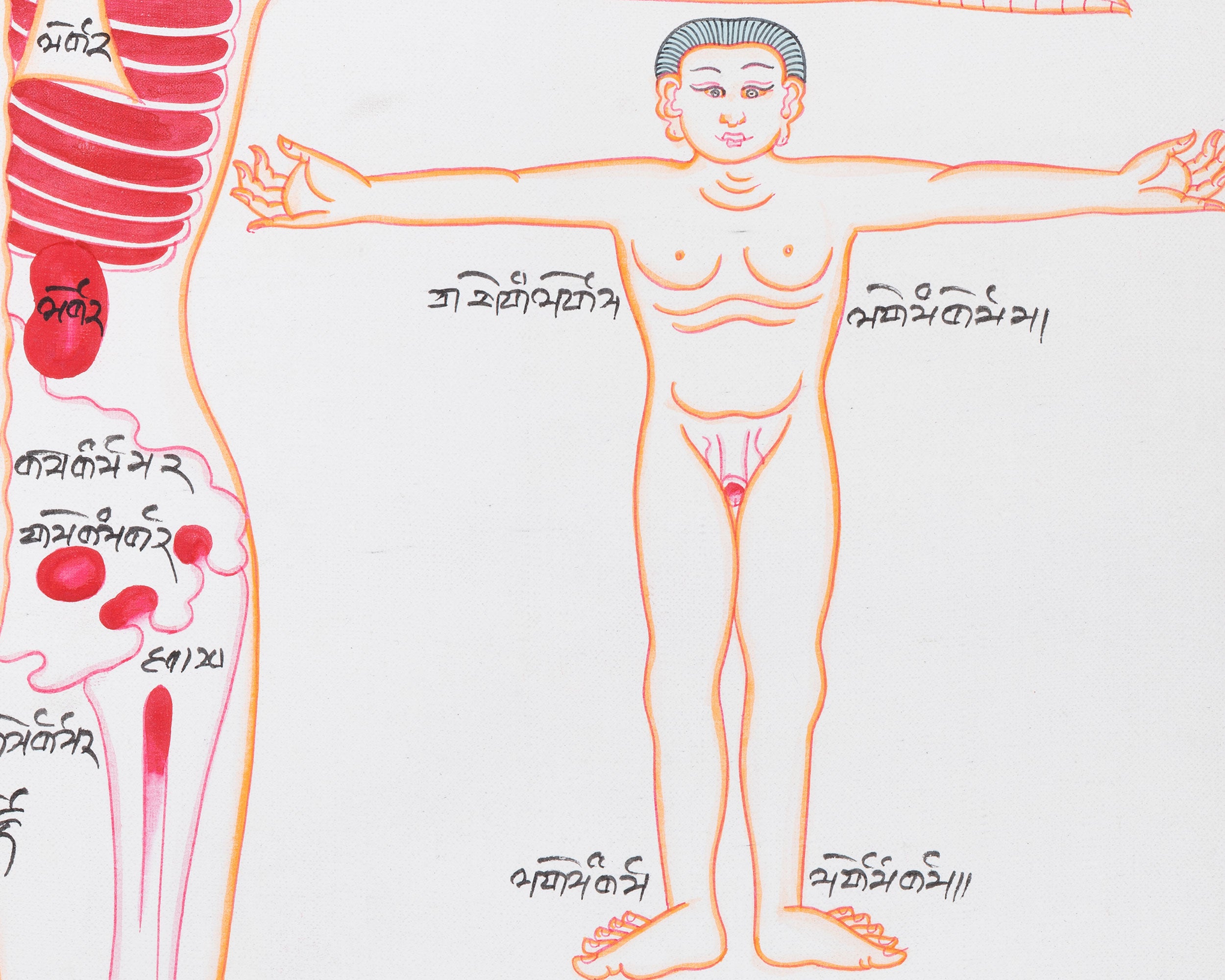 Human Anatomy Thangka | Posterior View of Healing Points