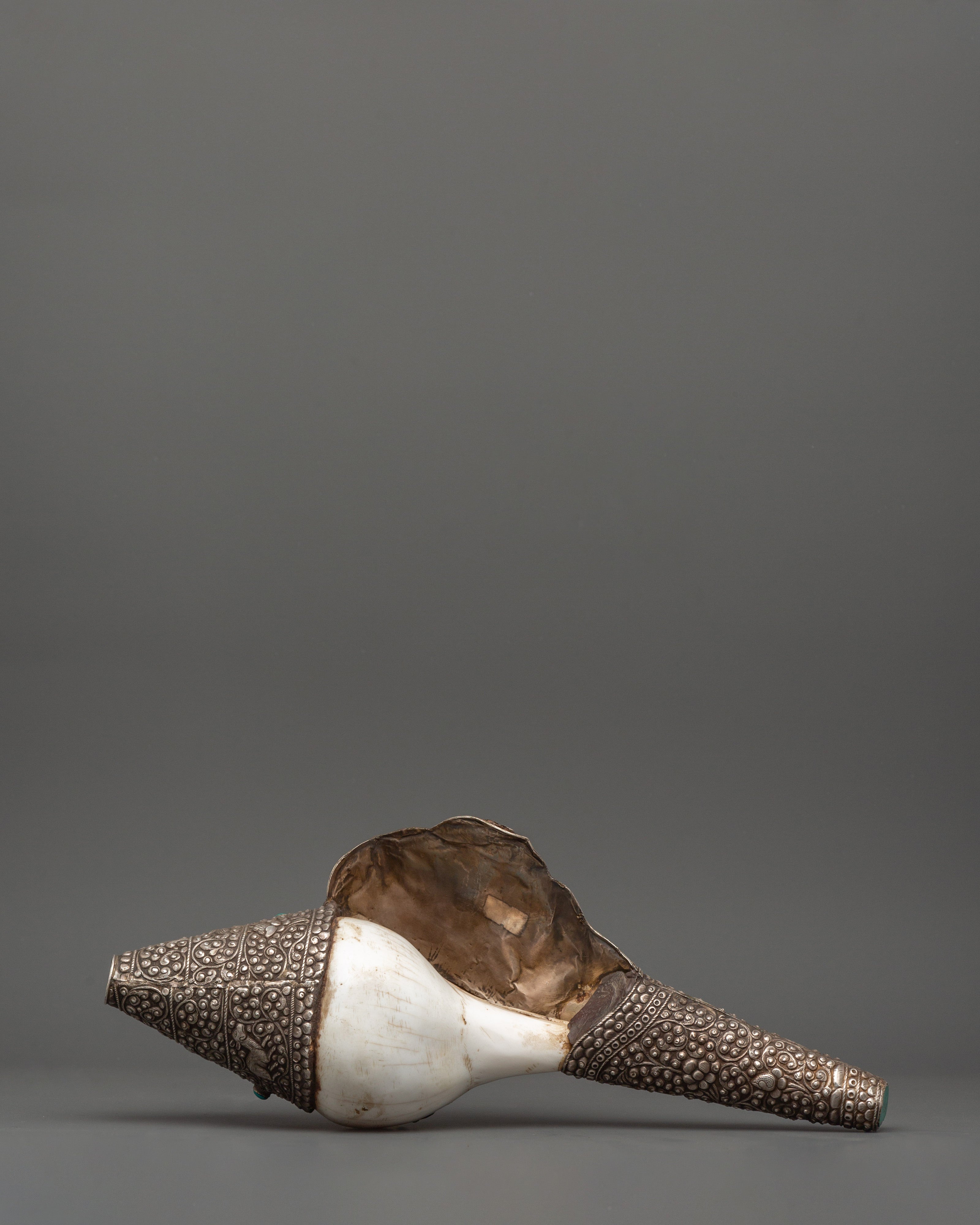 Religious Conch Shell | A Sacred Symbol of Dharma