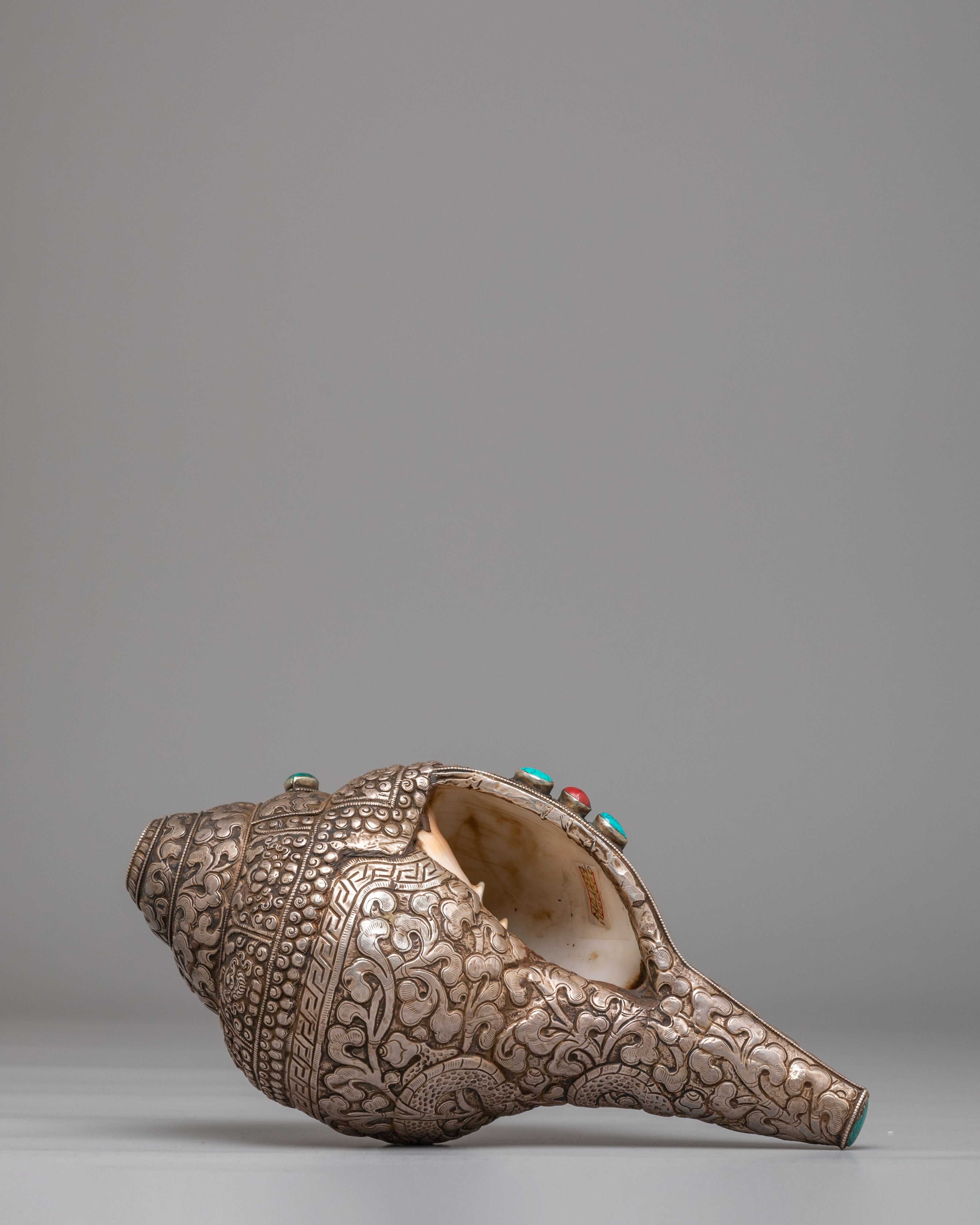 Sacred Buddhist Ritual Conch | Handcrafted Himalayan Art