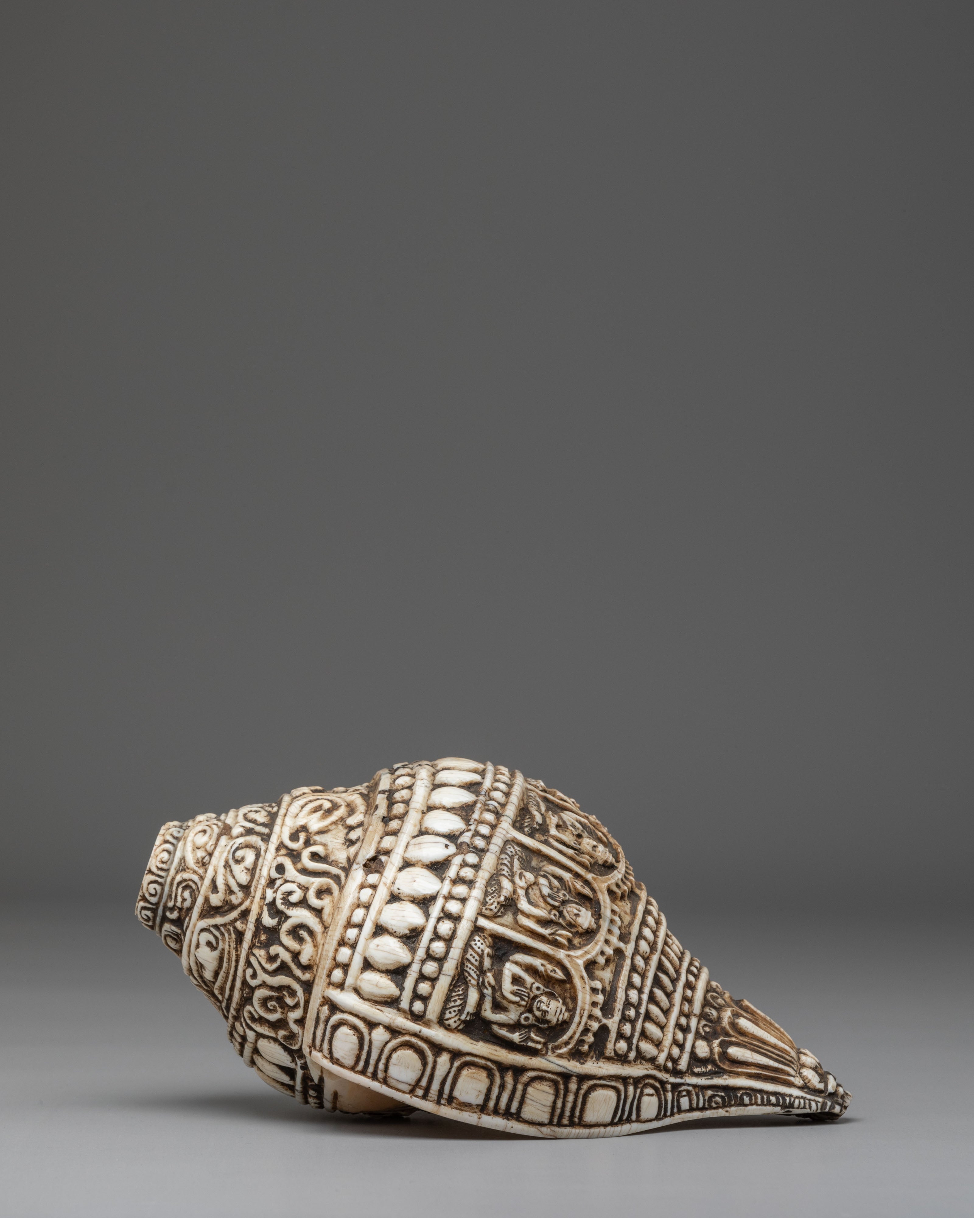 Hand Carved Tibetan Conch Shell | Sacred Sound Conch for Meditation