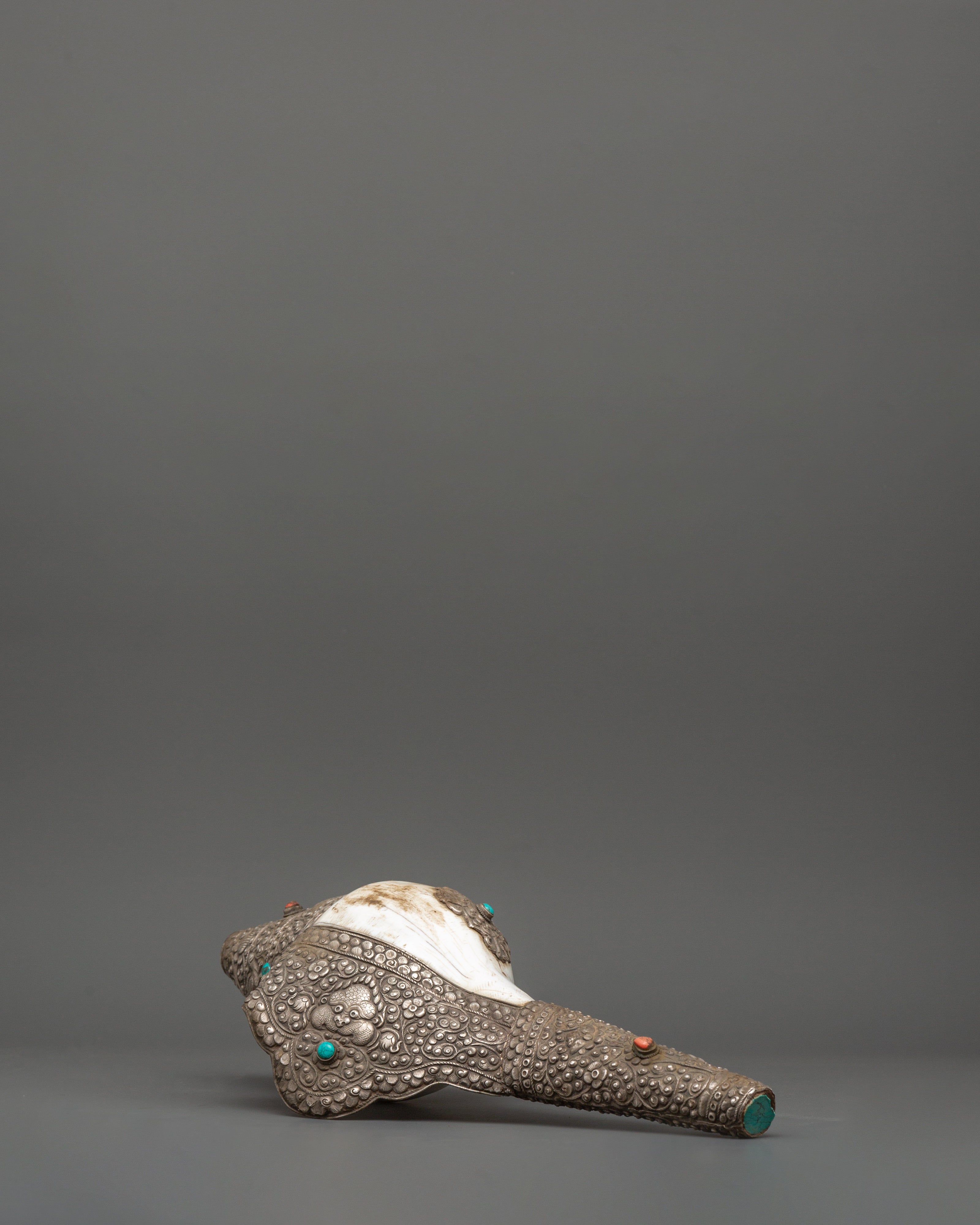 Religious Conch Shell | A Sacred Symbol of Dharma