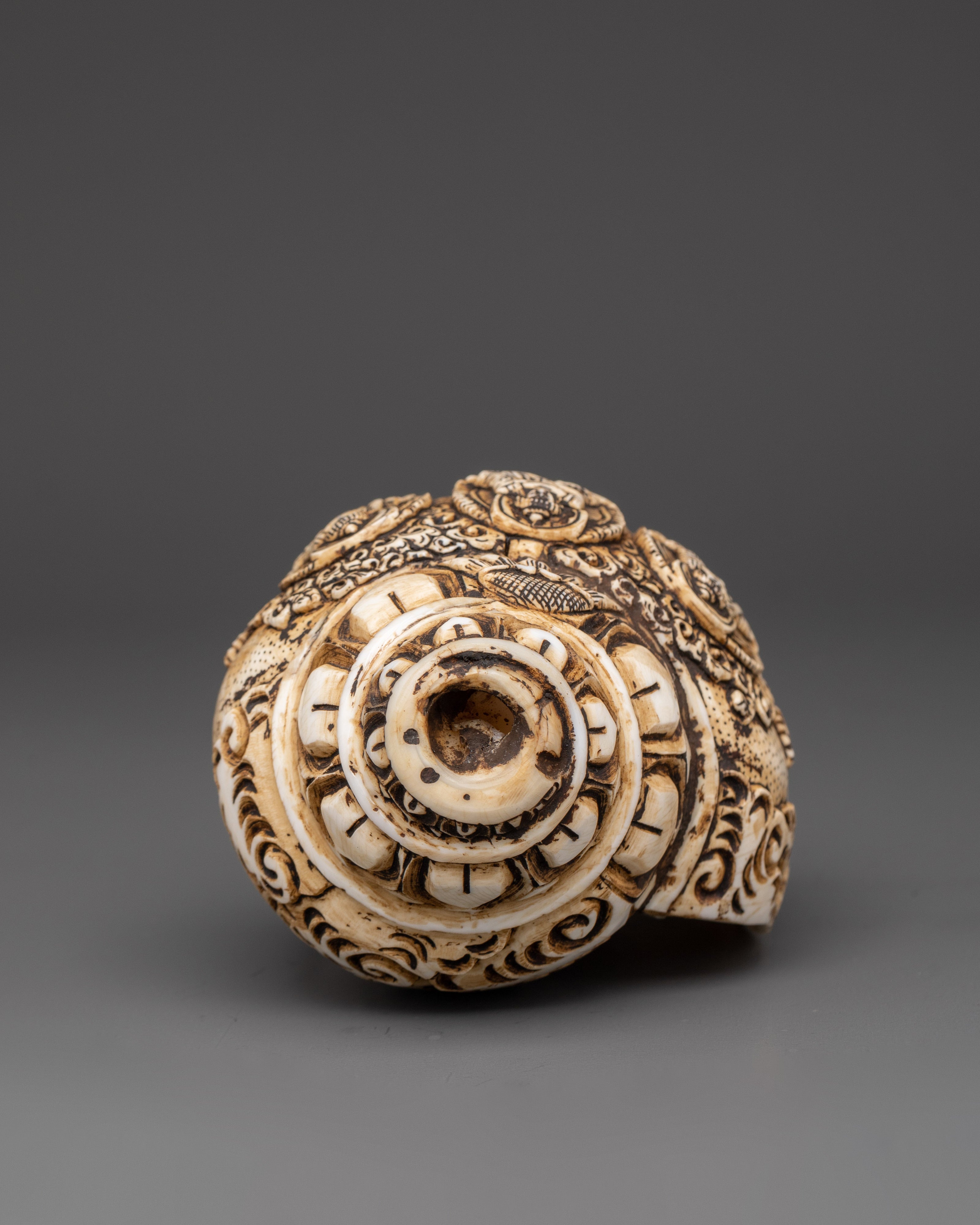 Three Dhyani Buddha and White Tara Carved Conch | Conch Shell
