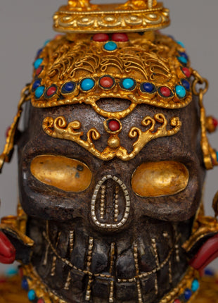 Crystal Skull Head for Spiritual Home Decor | Copper Body with Coral and Turquoise, Spiritual Home Decor