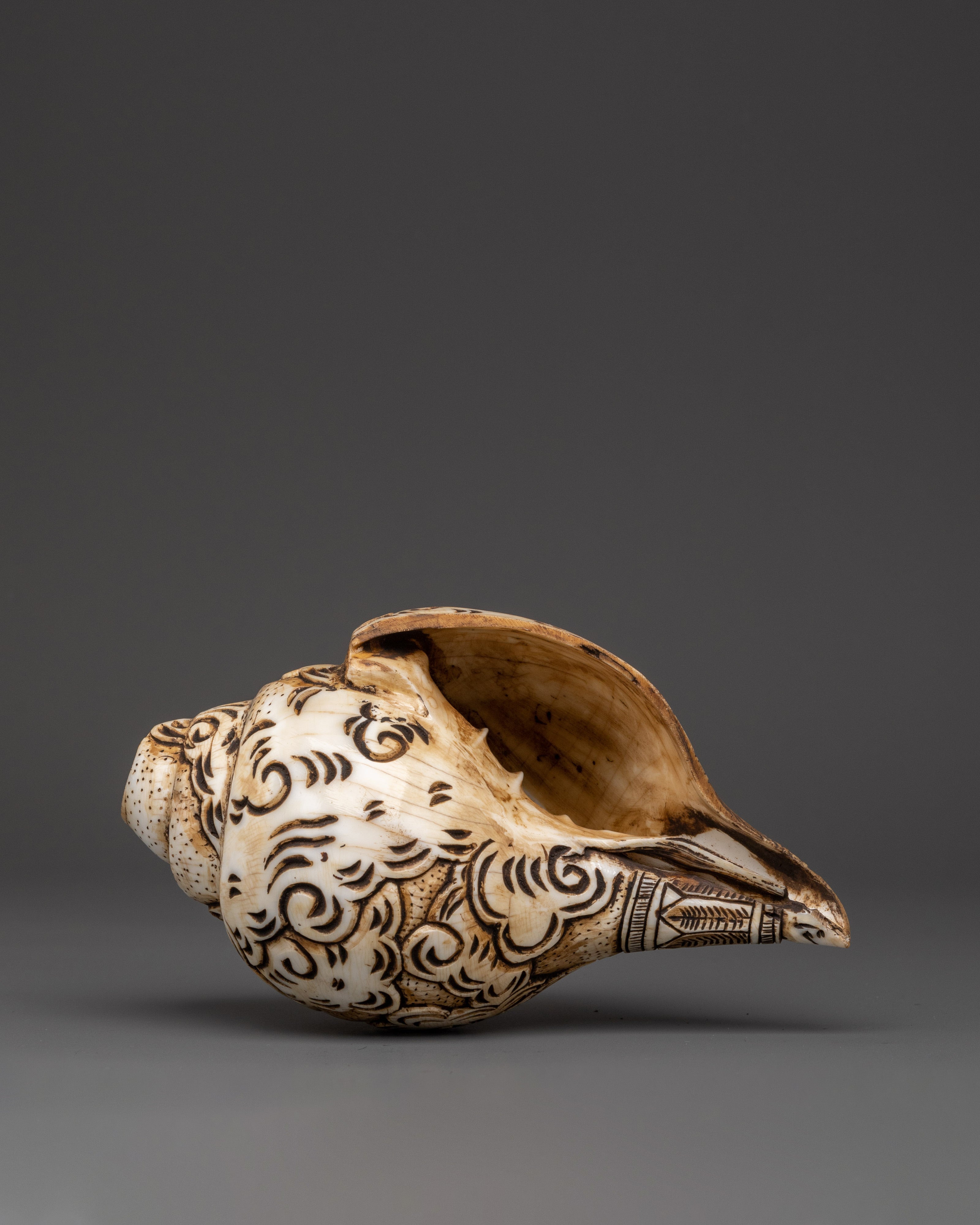 Handcrafted Tibetan Conch Shell | Symbol of Sacred Sound and Blessings
