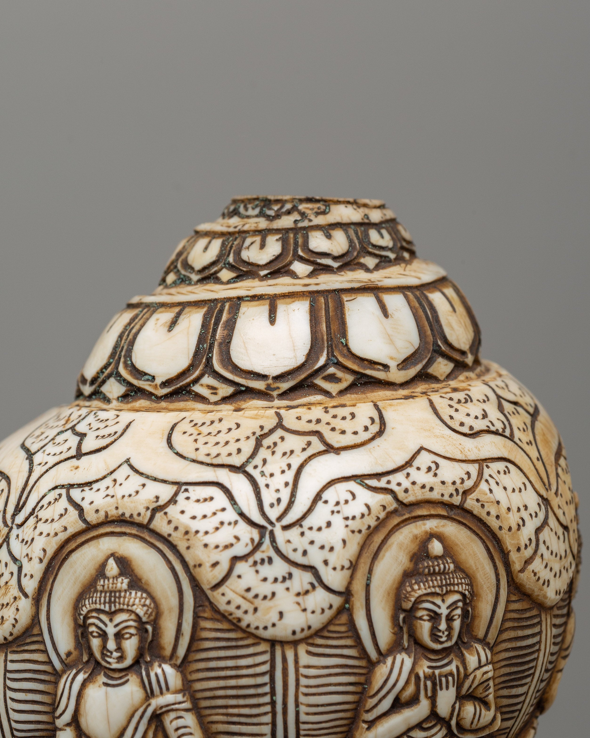 Hand-Carved Conch Shell | A Sacred Shankha for Rituals & Meditation