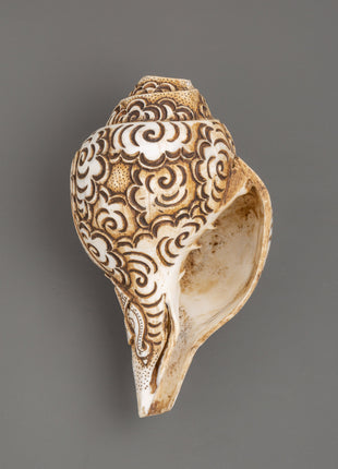 Ganesh Carved Conch Shell for Altar | Handcrafted Conch Shell Ritual Shankha