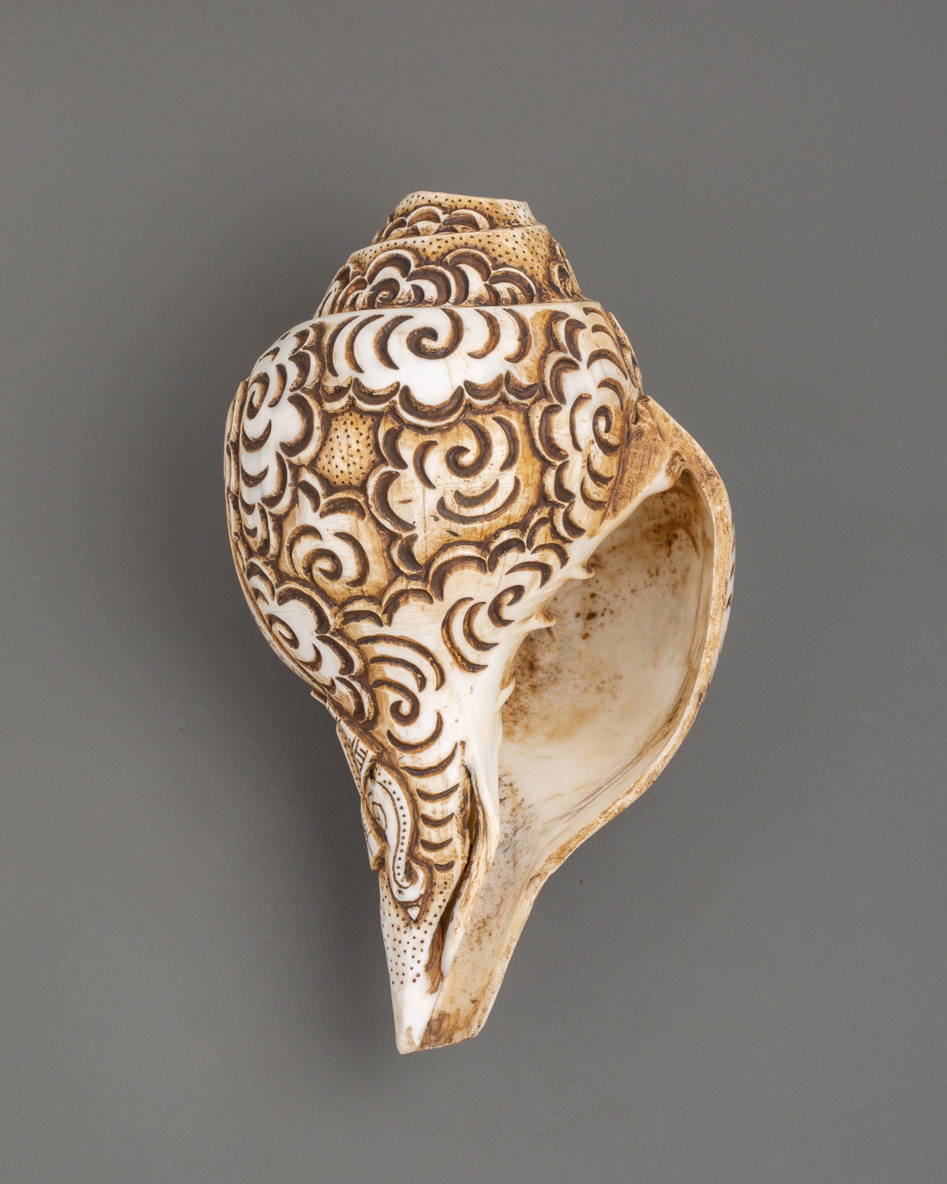 Ganesh Carved Conch Shell for Altar | Handcrafted Conch Shell Ritual Shankha
