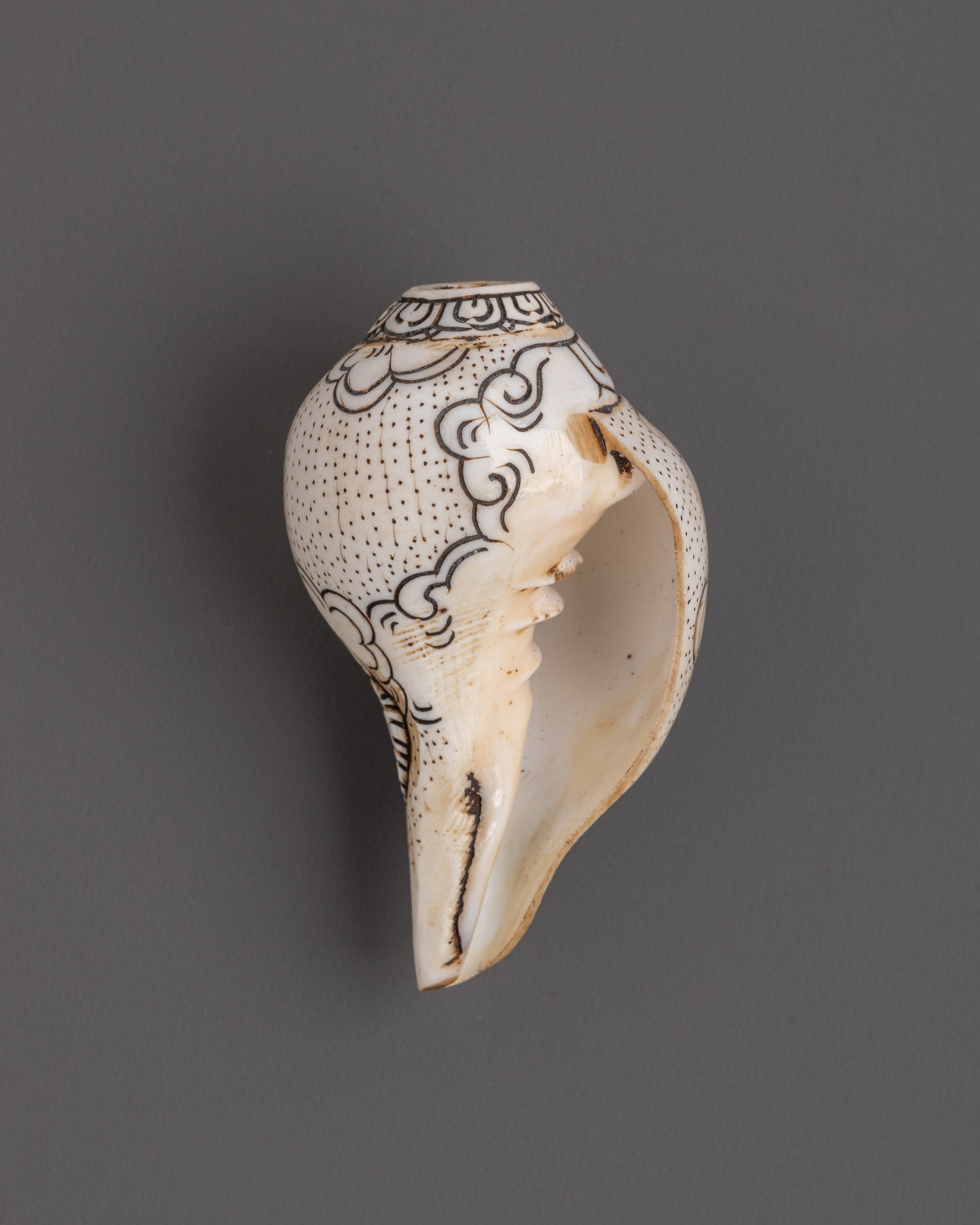 Dzambhala Conch | Sacred Buddhist Artifact