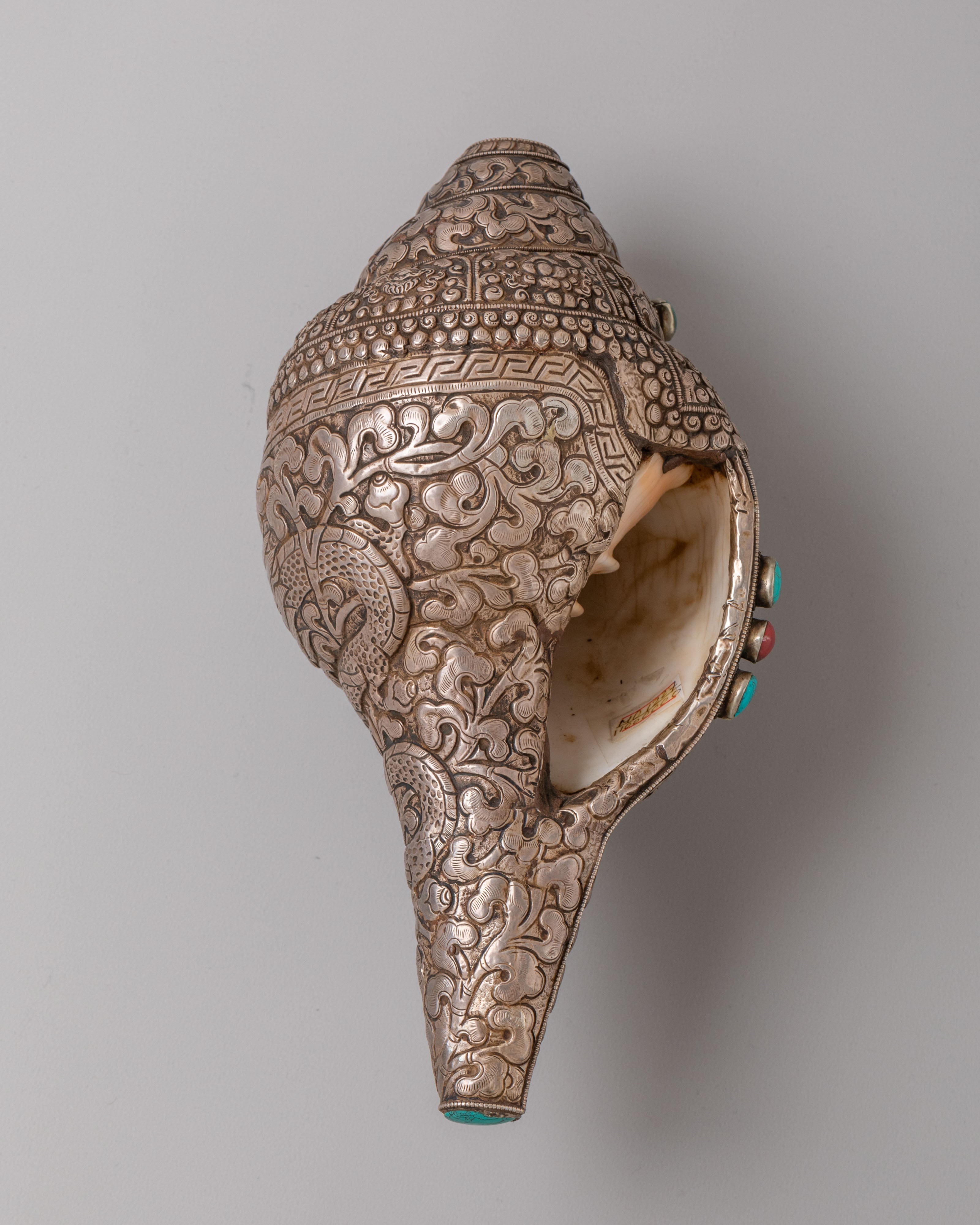 Sacred Buddhist Ritual Conch | Handcrafted Himalayan Art
