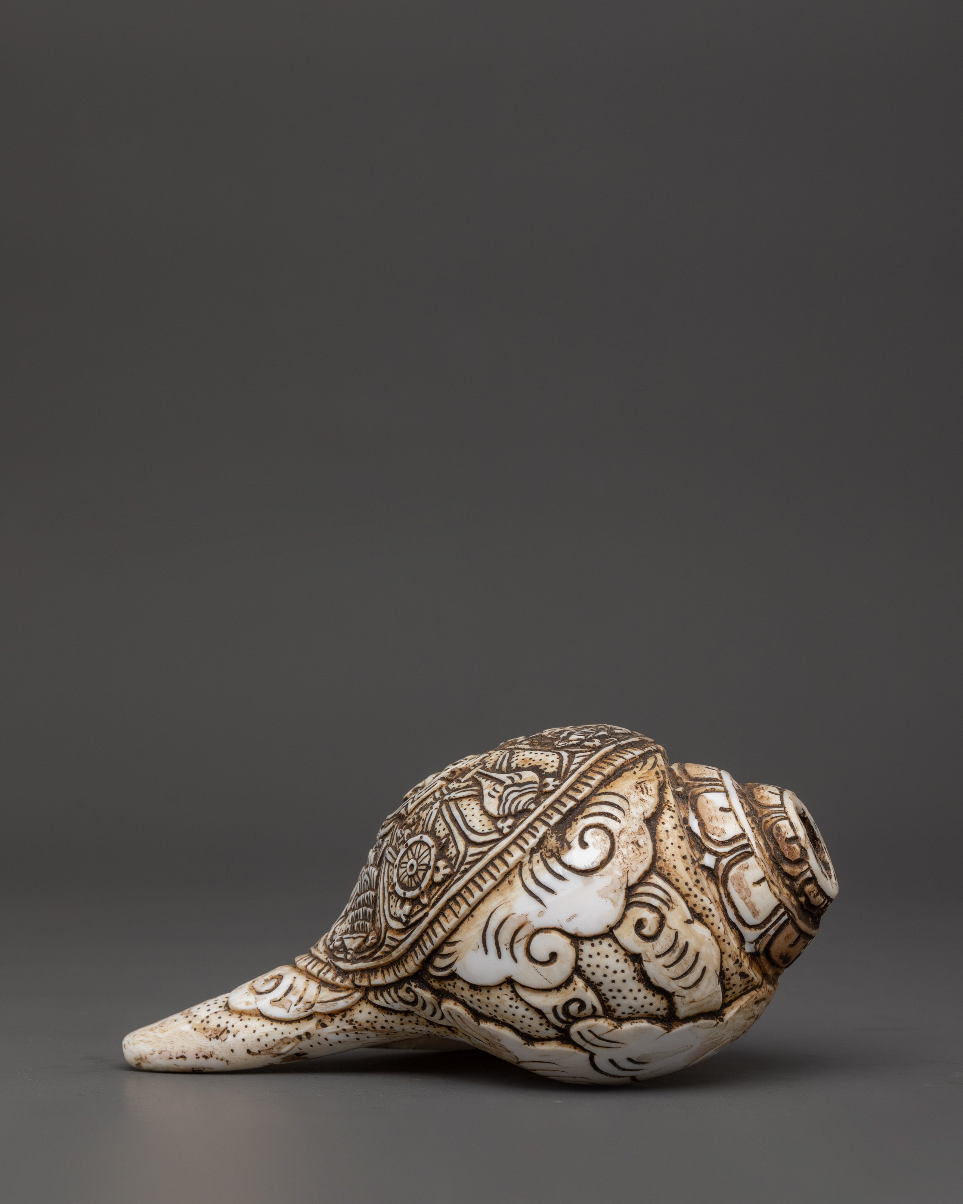 Himalayan Ritual Conch | Hand-Carved Buddhist Shankha with Auspicious Symbols