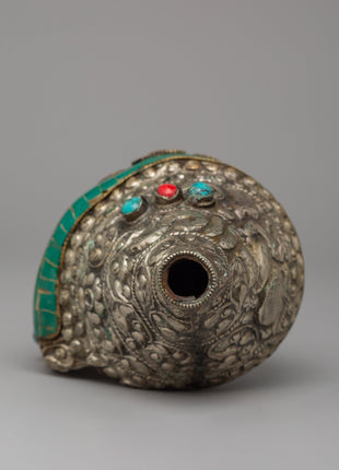 Turquoise Conch Shell | A Sacred Ritual Offering for Altar