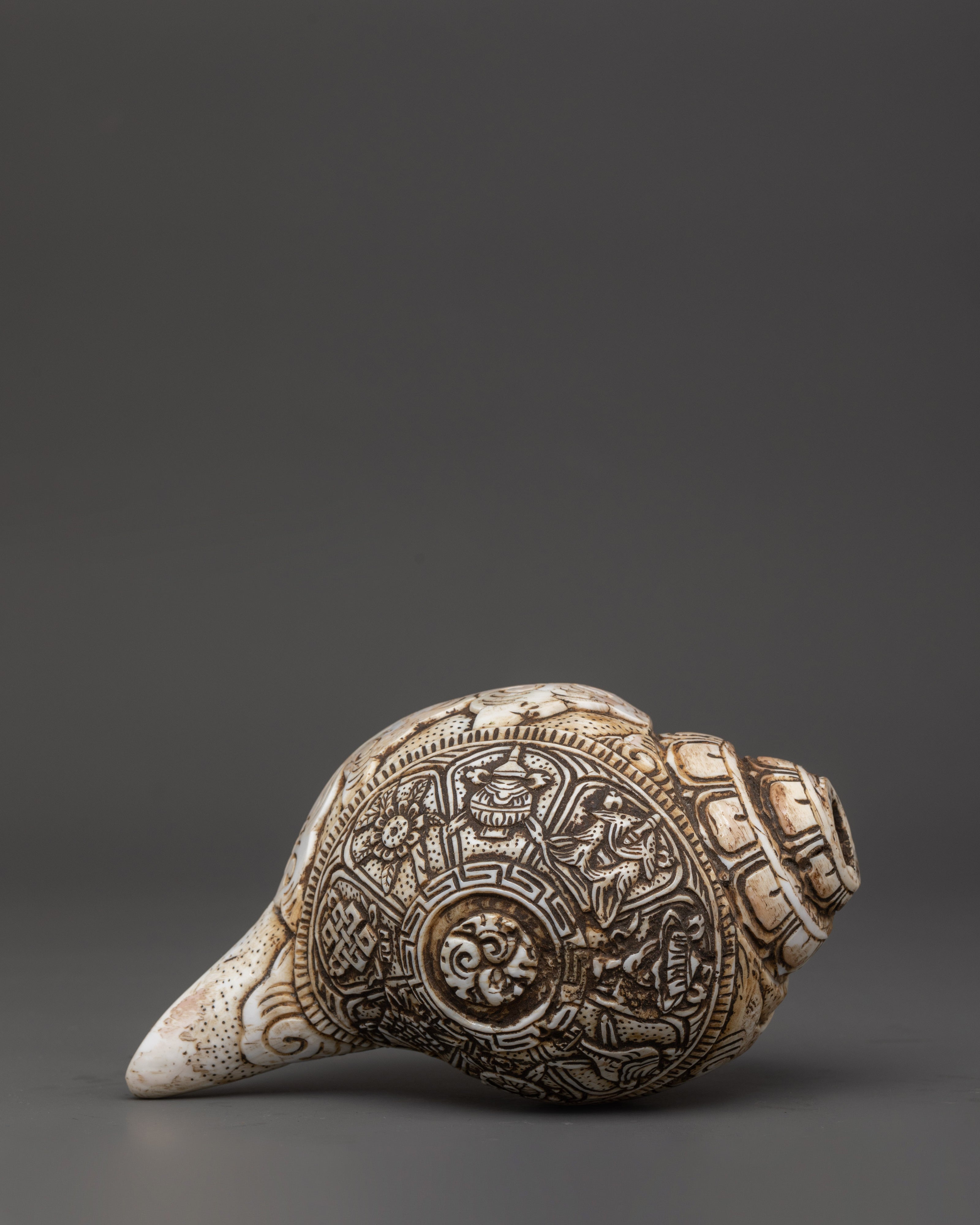 Himalayan Ritual Conch | Hand-Carved Buddhist Shankha with Auspicious Symbols