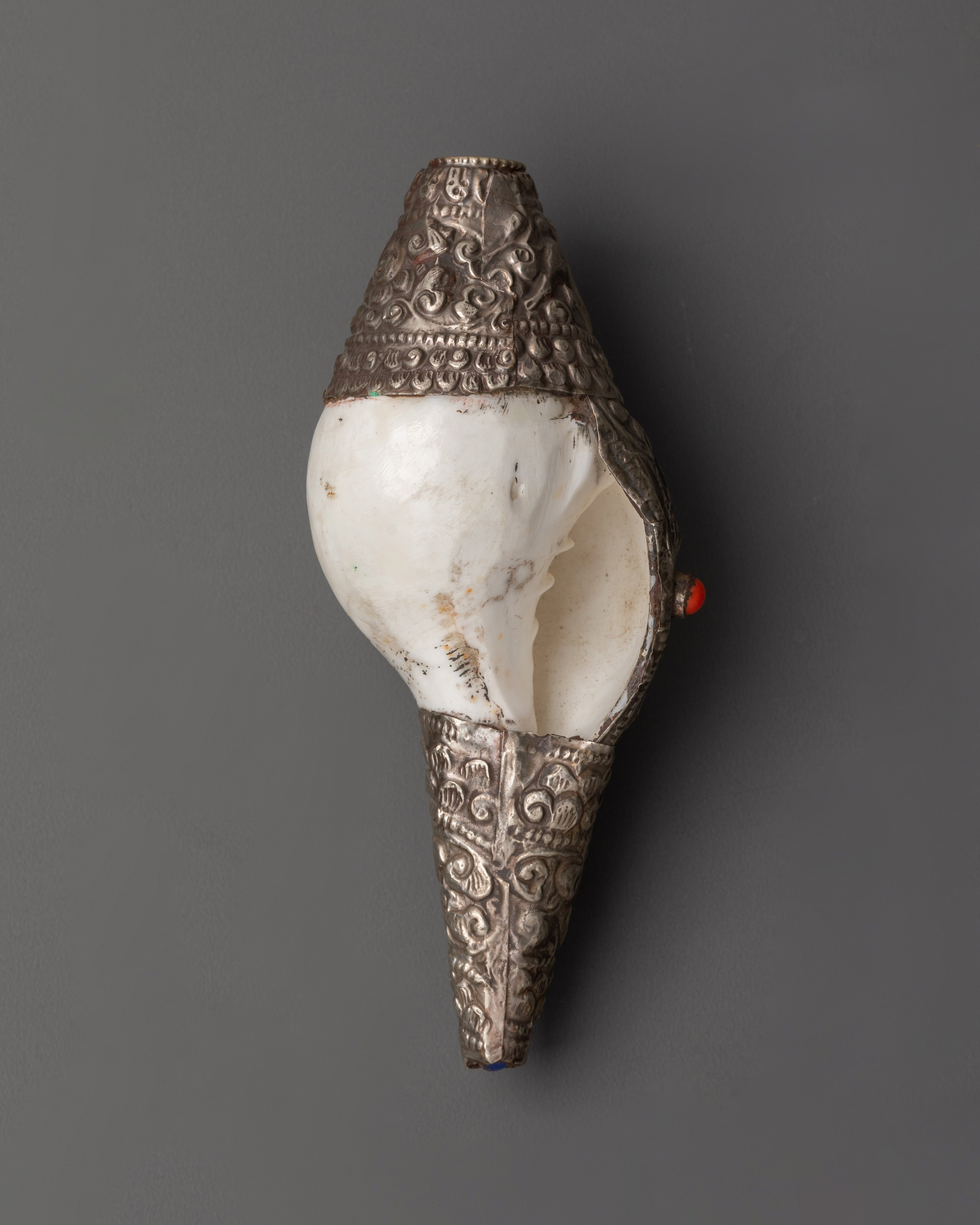 Tibetan Ritual Conch Shell | Handcrafted Buddhist Ritual Sacred Instrument